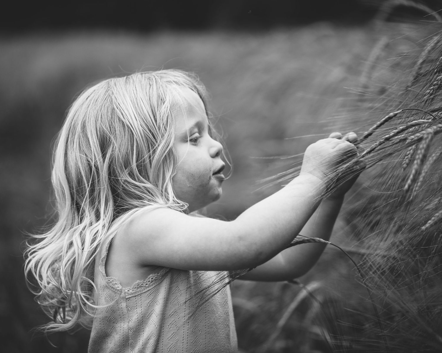 Black and white photo showing a small child reaching up to touch a horse in a tender moment.