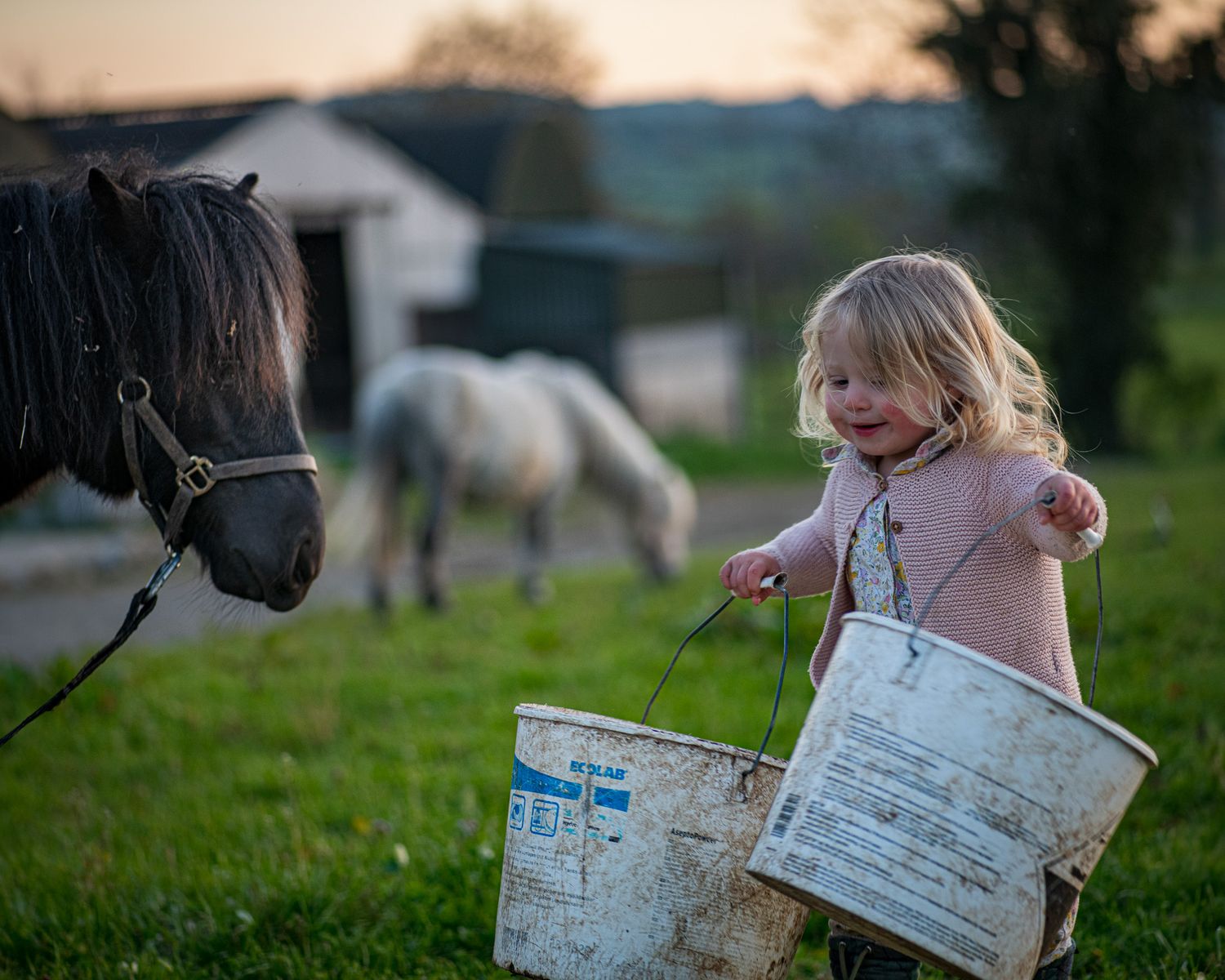Young child carrying metal buckets near a dark horse in pastoral farm setting at sunset.
