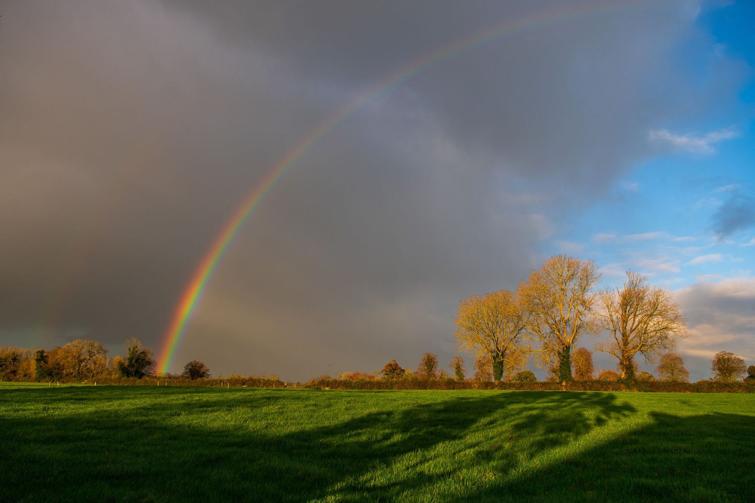 Vibrant rainbow arcs over green spring field with trees silhouetted against dramatic sky.