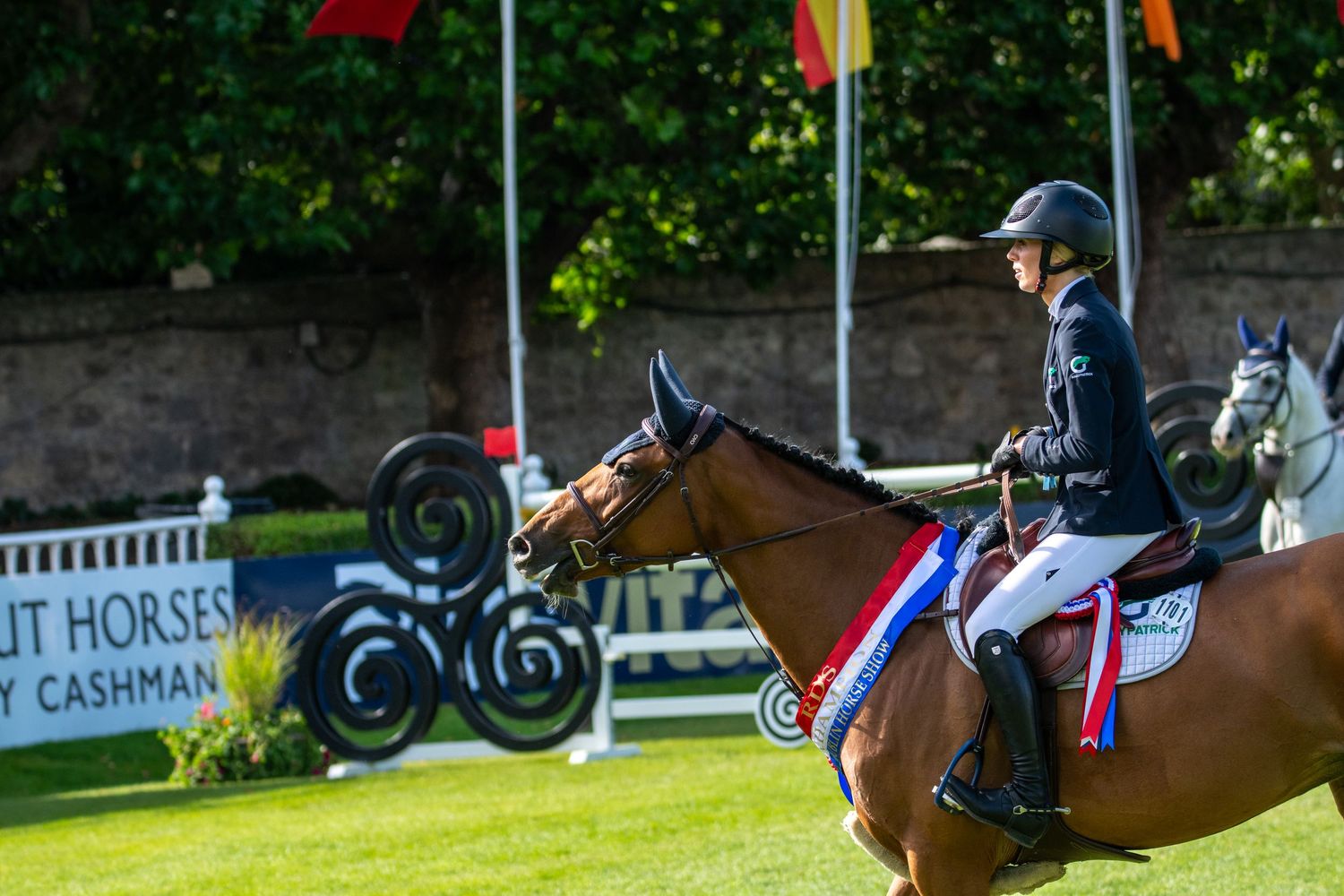 Horse and rider compete at an equestrian show jumping event with colorful flags.