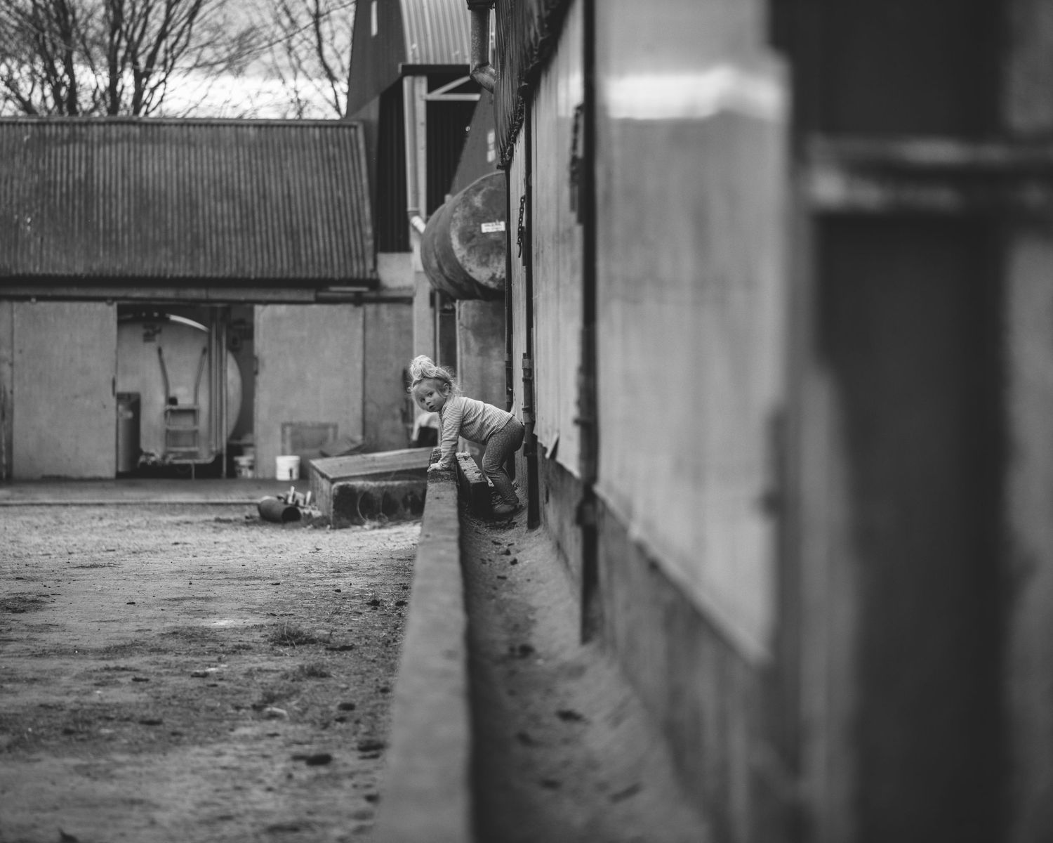 Black and white image of someone peeking through a narrow gap between farm buildings.