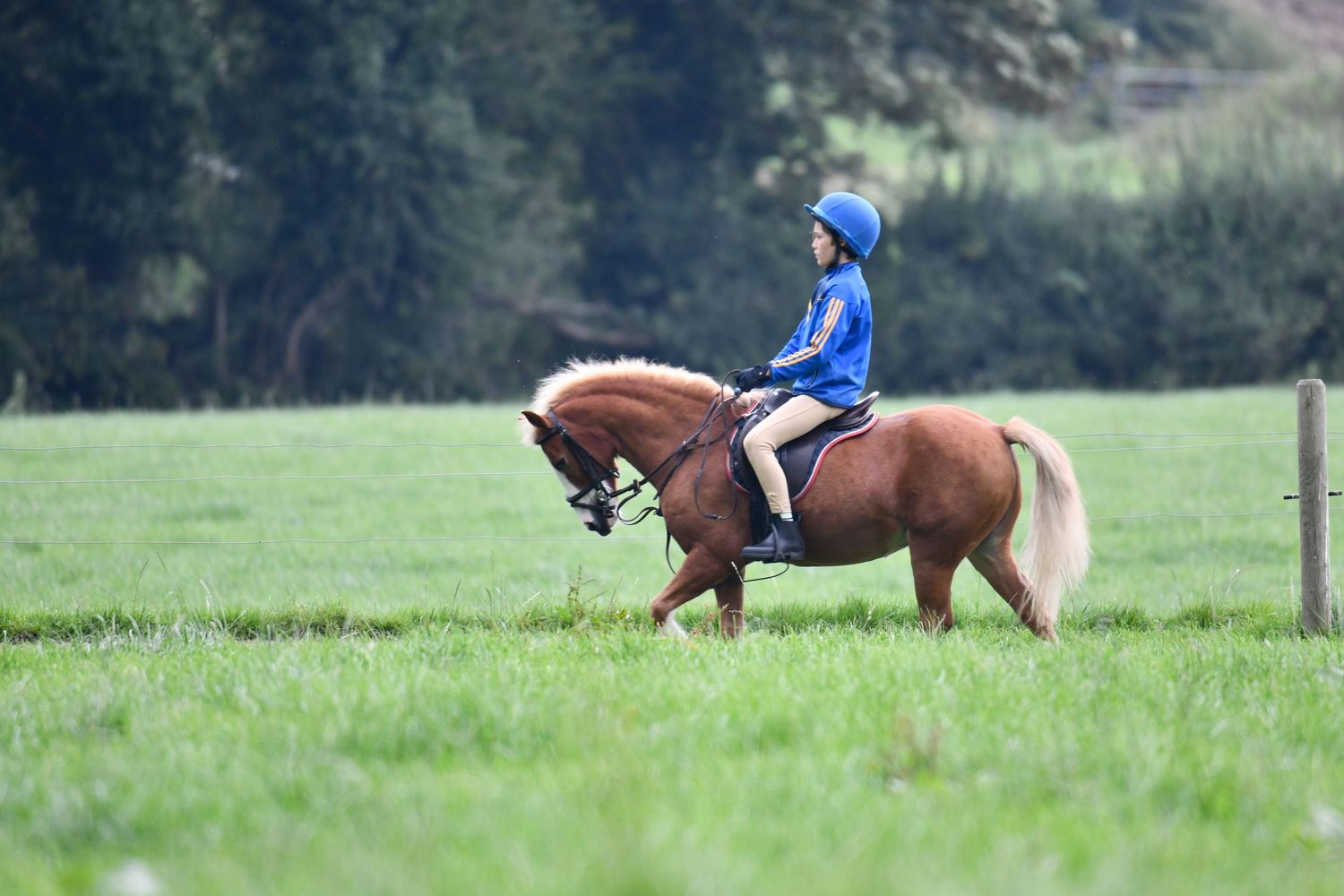 Riders on horseback traverse a green field during an equestrian event.