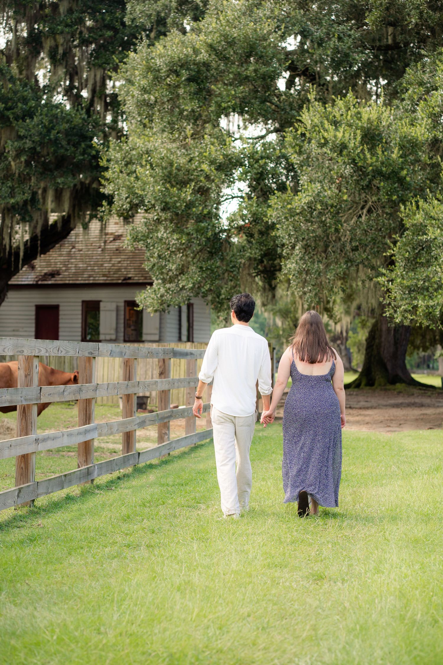 couple photos in Magnolia gardens
