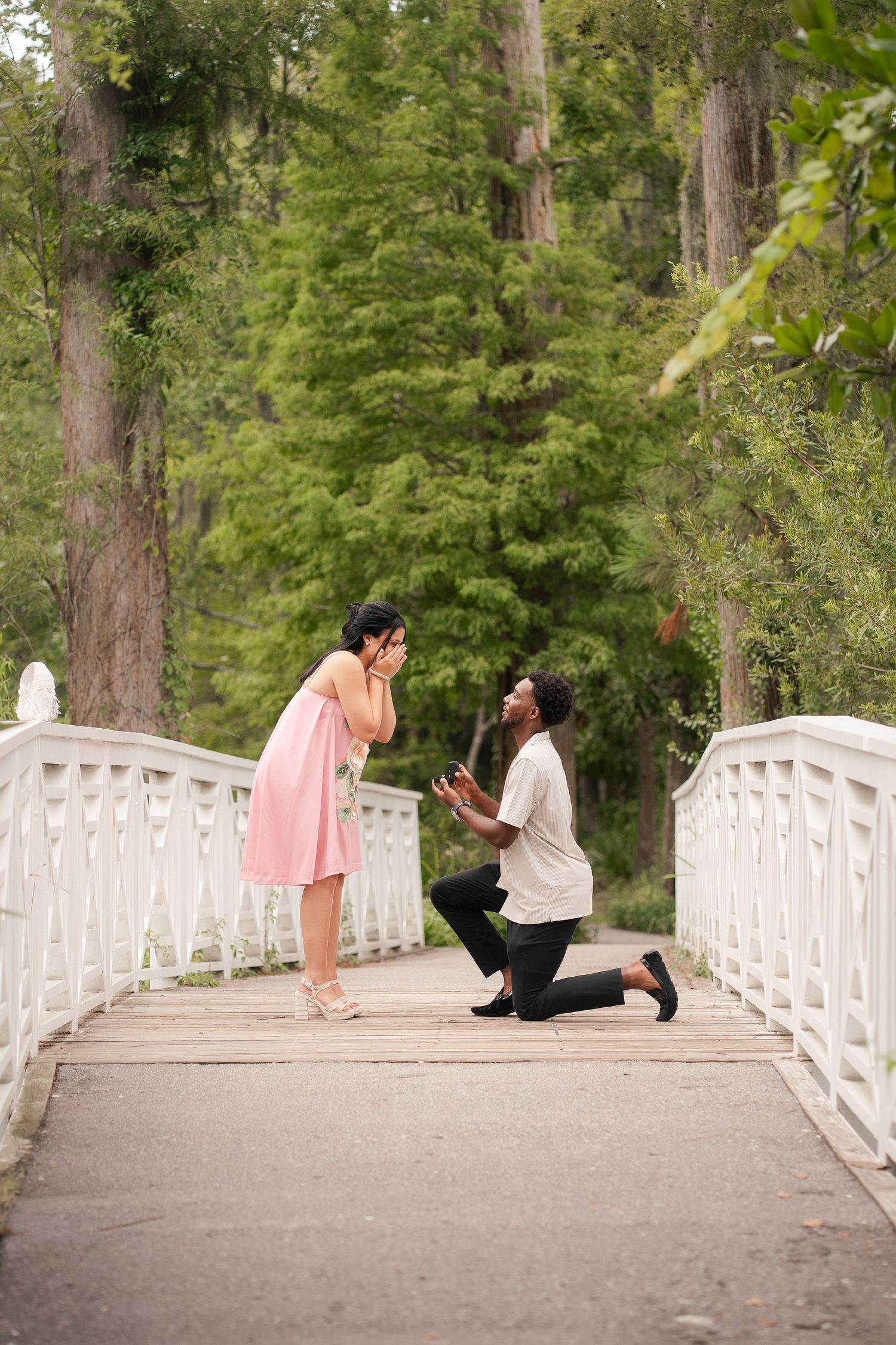 Proposal shoot