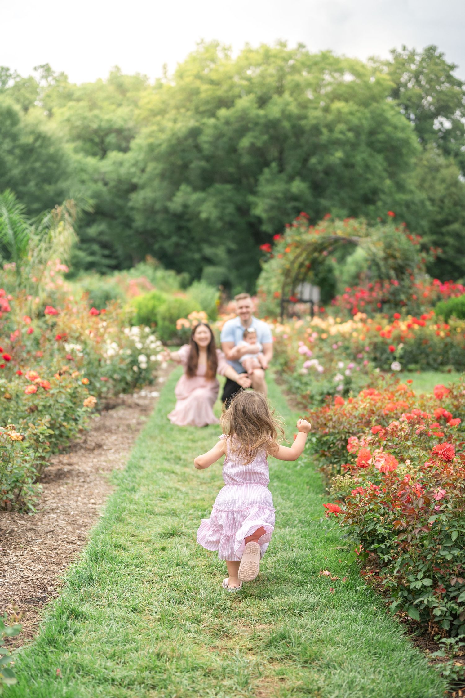Child runs down garden path toward family among blooming roses. Northern Virginia Family Photographer