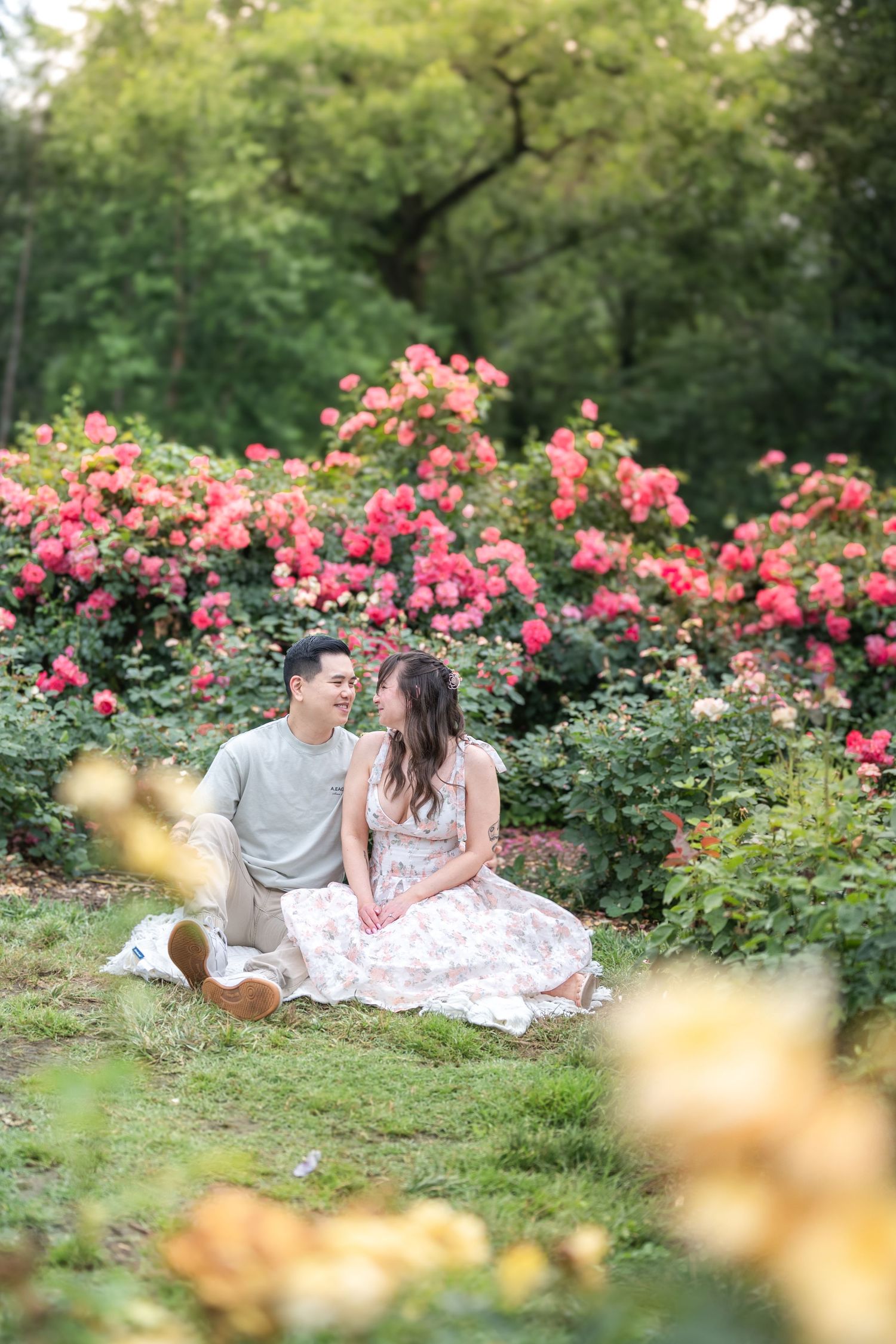 A romantic couple sits on a blanket surrounded by blooming pink rose bushes in a garden. Arllington Family Photographer Taylor Swift