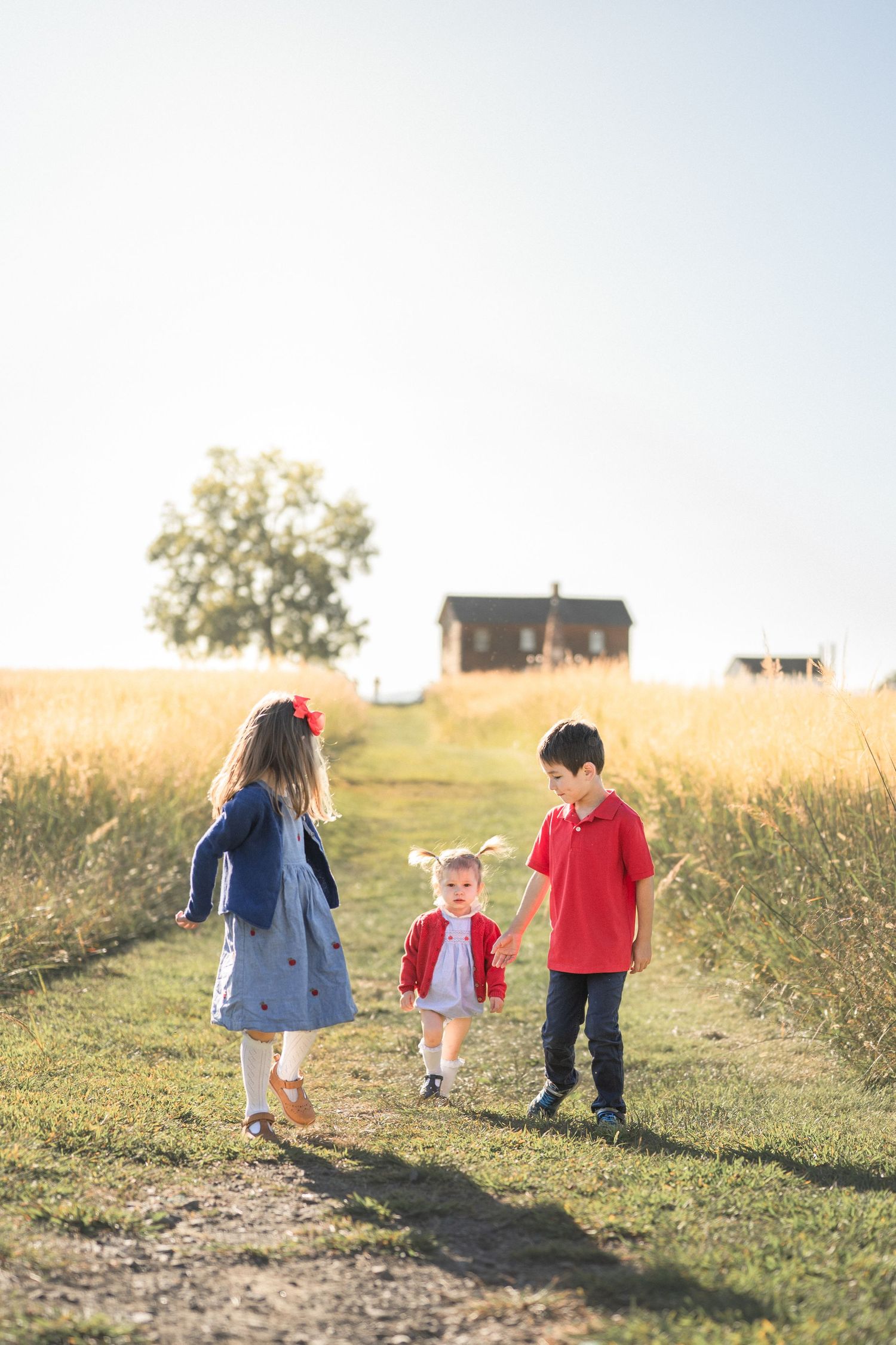 Three children walking together on a dirt path through a golden field at sunset.