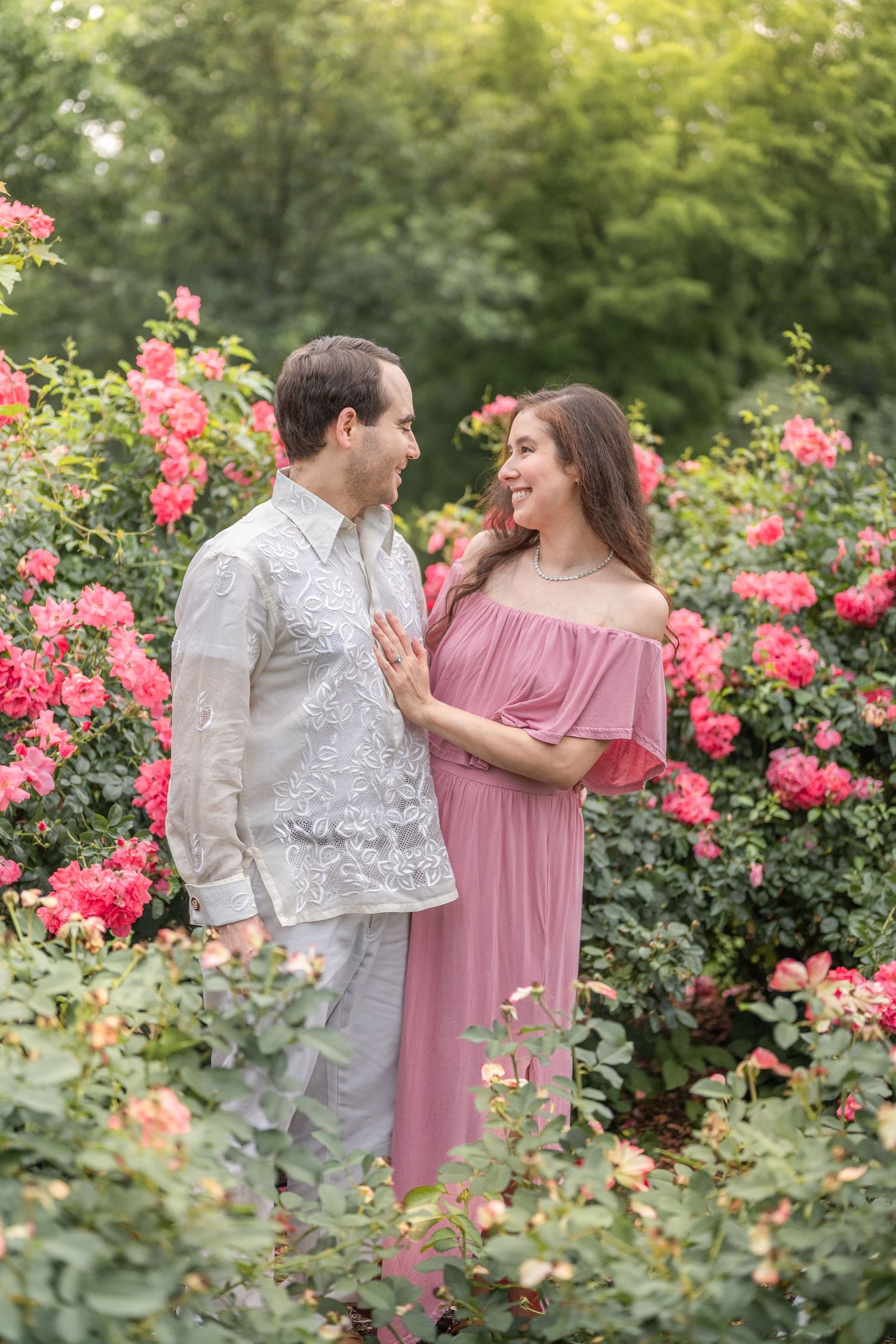 A romantic couple shares a laugh together in a blooming rose garden. Northern Virginia Family Photographer