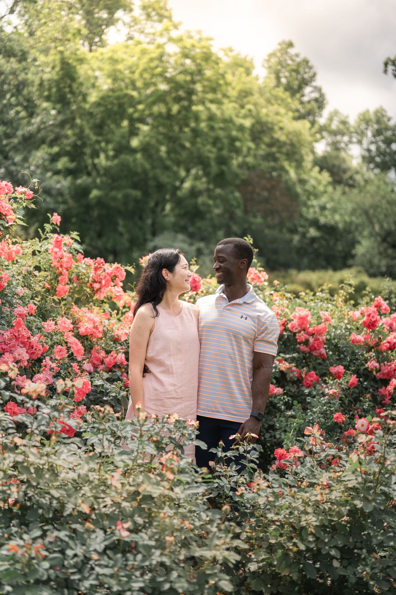 A couple shares a tender moment among blooming rose bushes in a garden setting. Northern Virginia Family Photographer