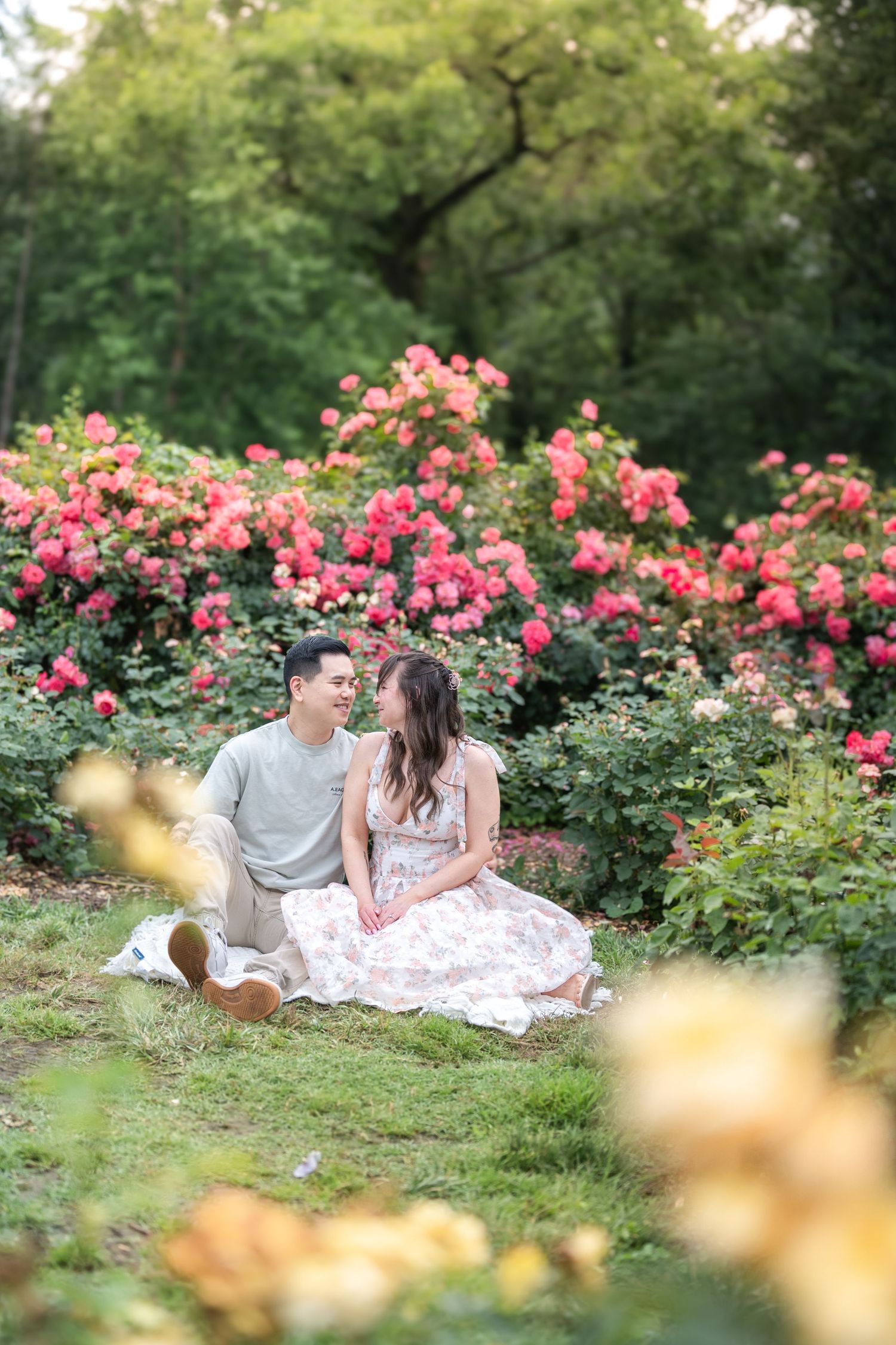 A couple sits together on grass surrounded by pink rose bushes in a dreamy garden setting. Northern Virginia Family Photographer Taylor Swif