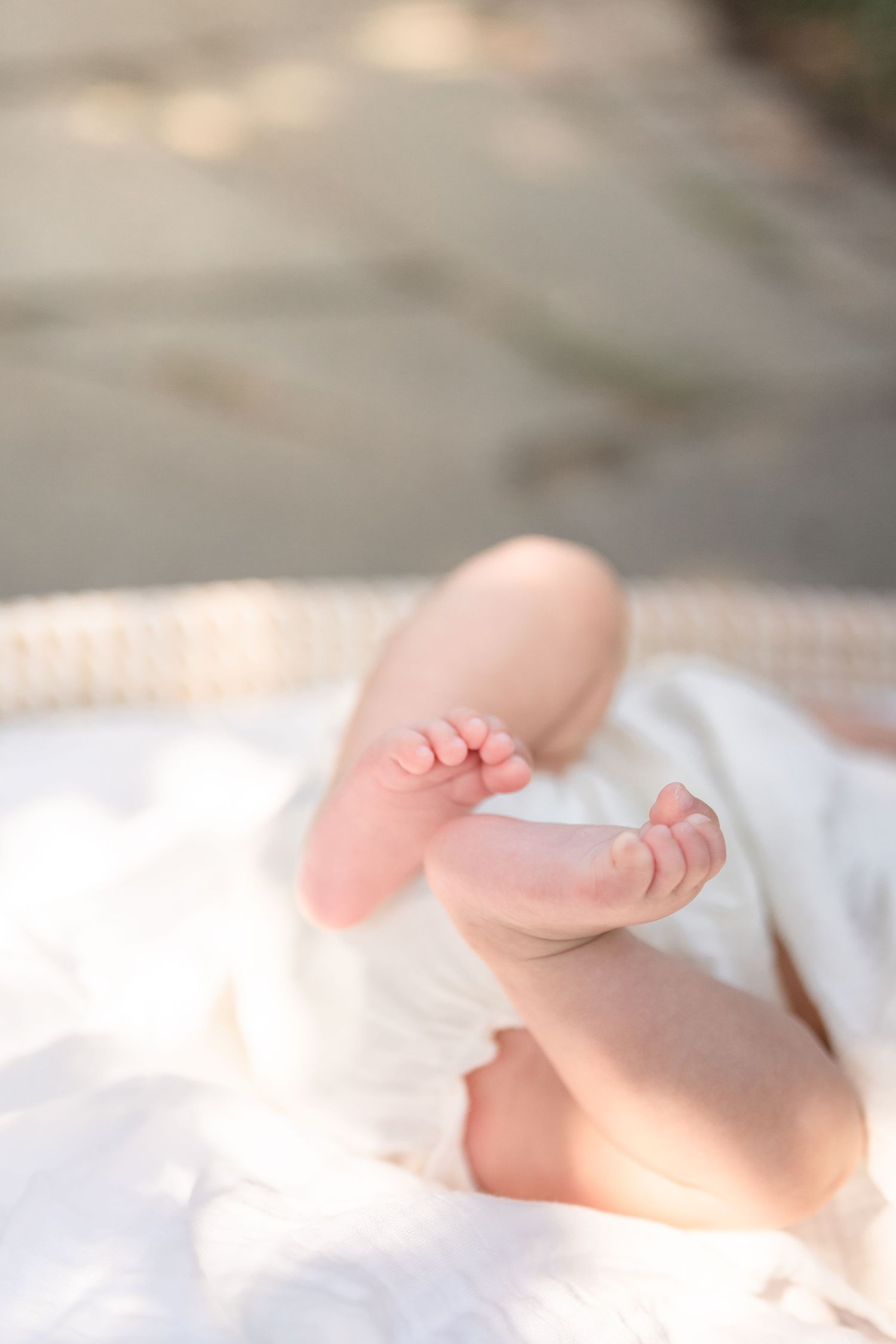 A close-up view of tiny baby feet resting on soft white fabric in gentle natural light. Leesburg photographer newborn