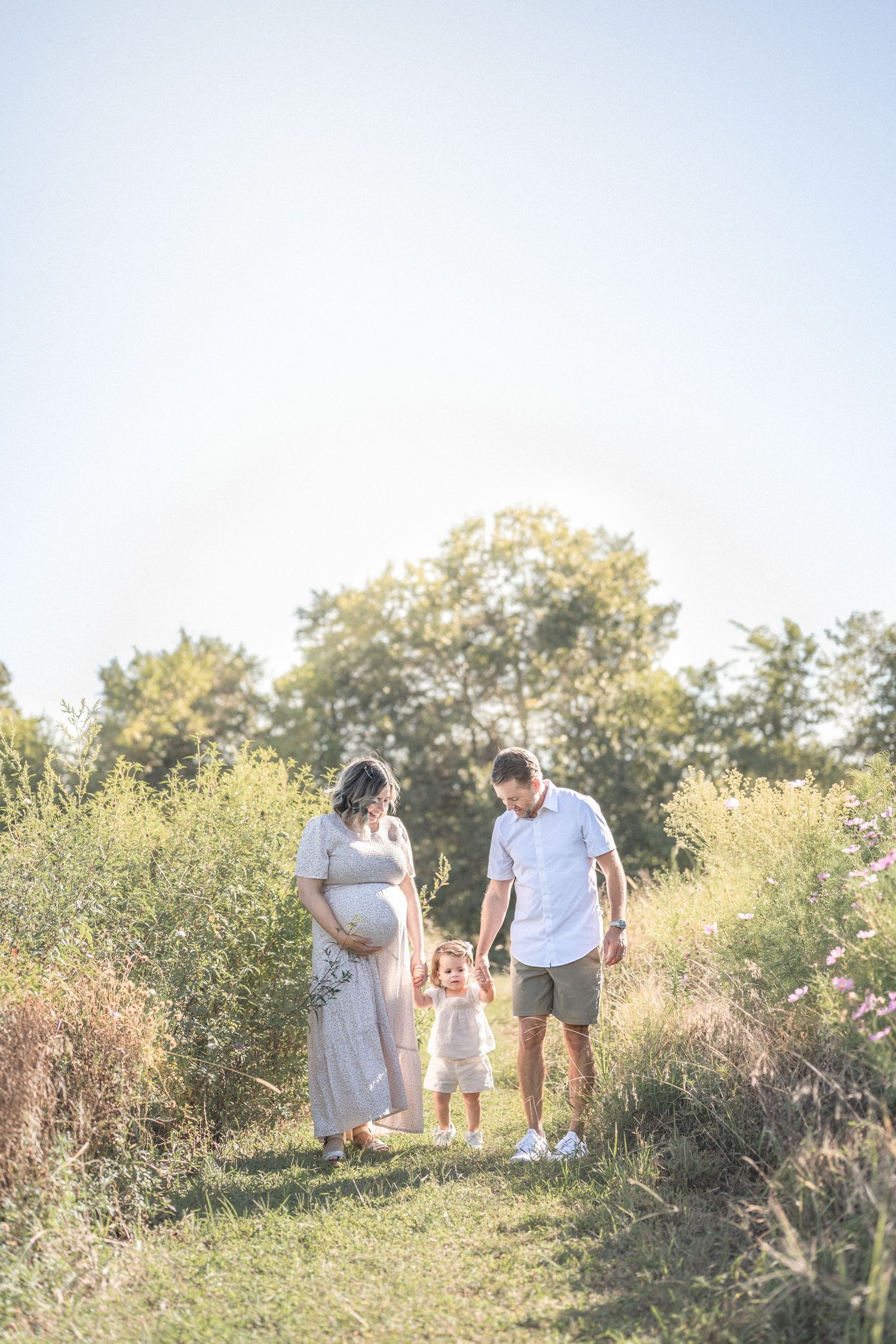 Family walking together through a sun-drenched meadow at golden hour against a bright blue sky.
