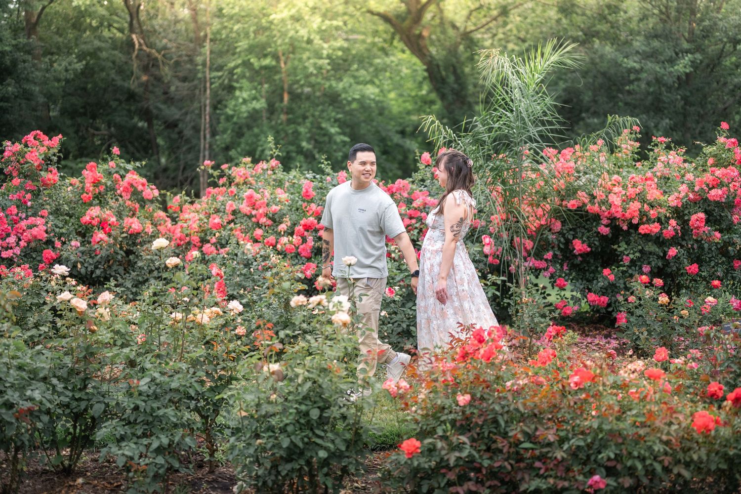 People walking through a beautiful garden path surrounded by bright red blooming roses on a sunny summer day.
