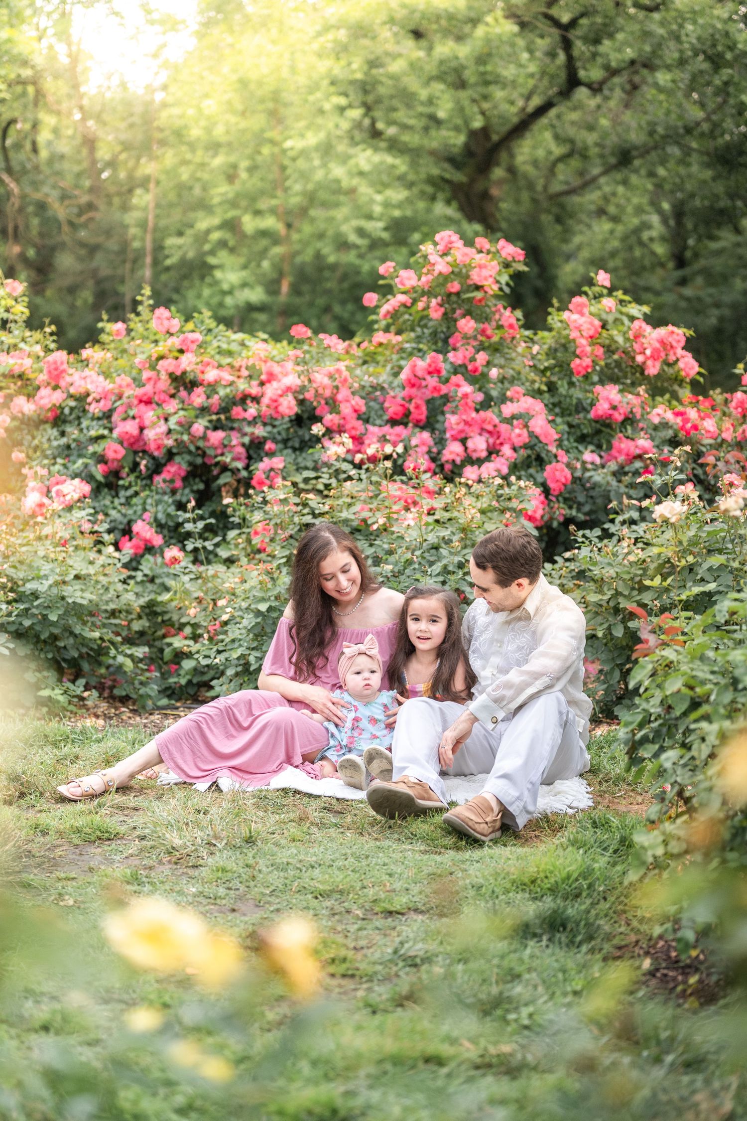 A peaceful scene in a rose garden with pink blooms creating a romantic natural backdrop along a grassy slope.