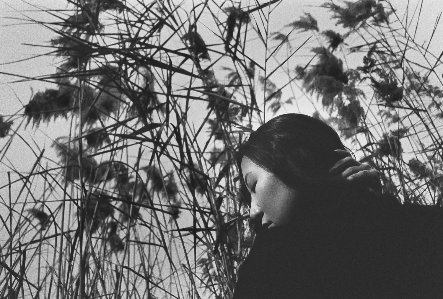 Artistic black and white portrait through reeds in Tulum, cinematic 35mm film photography with creative natural elements