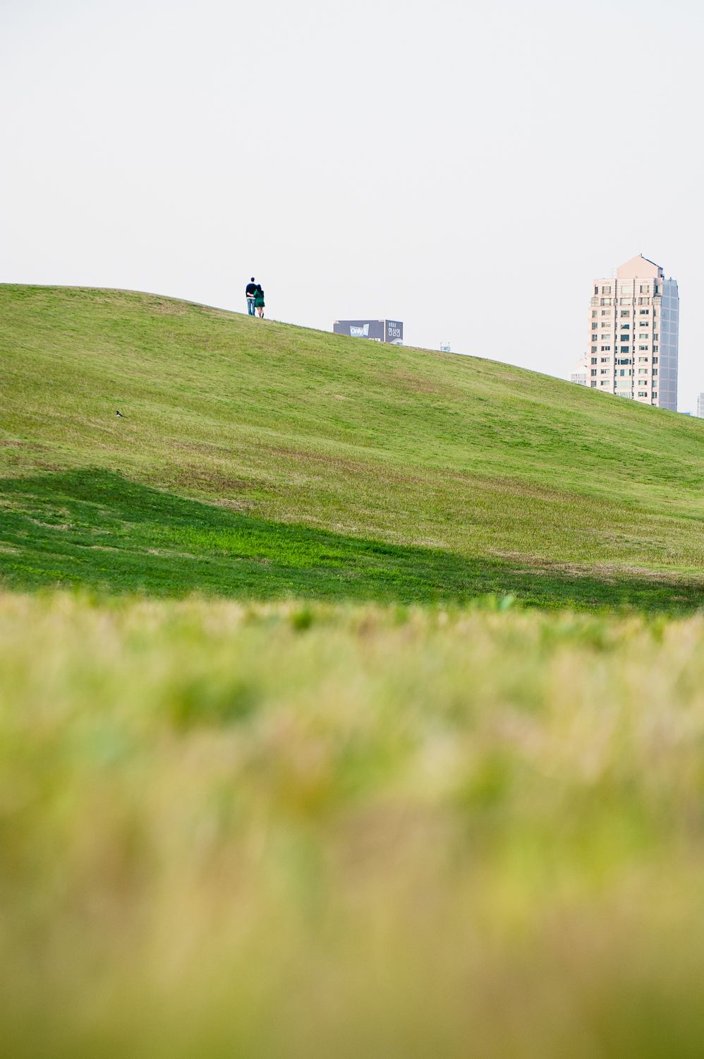 Couple in distant hillside landscape in Seoul with urban skyline, cinematic engagement photography with shallow depth of field