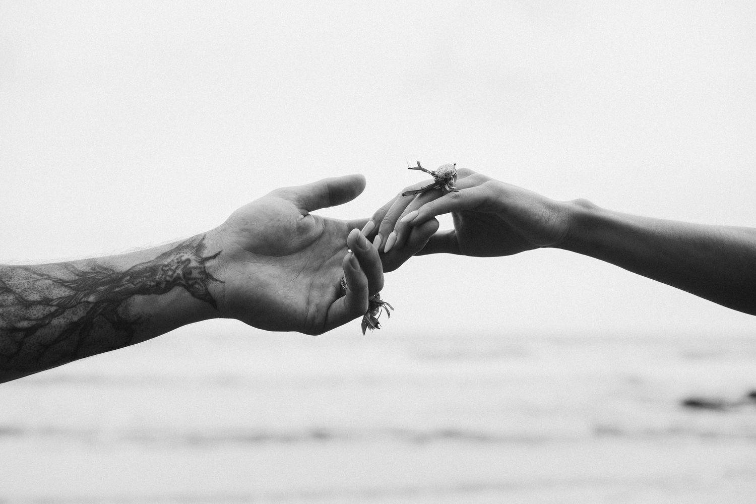 Close-up black and white 35mm film image of couple's hands touching on beach in Tenerife, intimate detail shot with cinematic composition