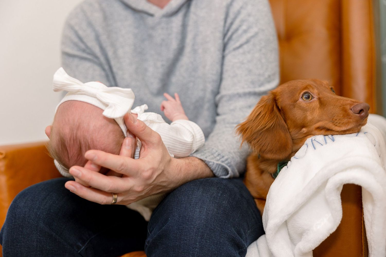 A dachshund dog wrapped in a white towel sits next to someone drying a small pet on a brown couch.