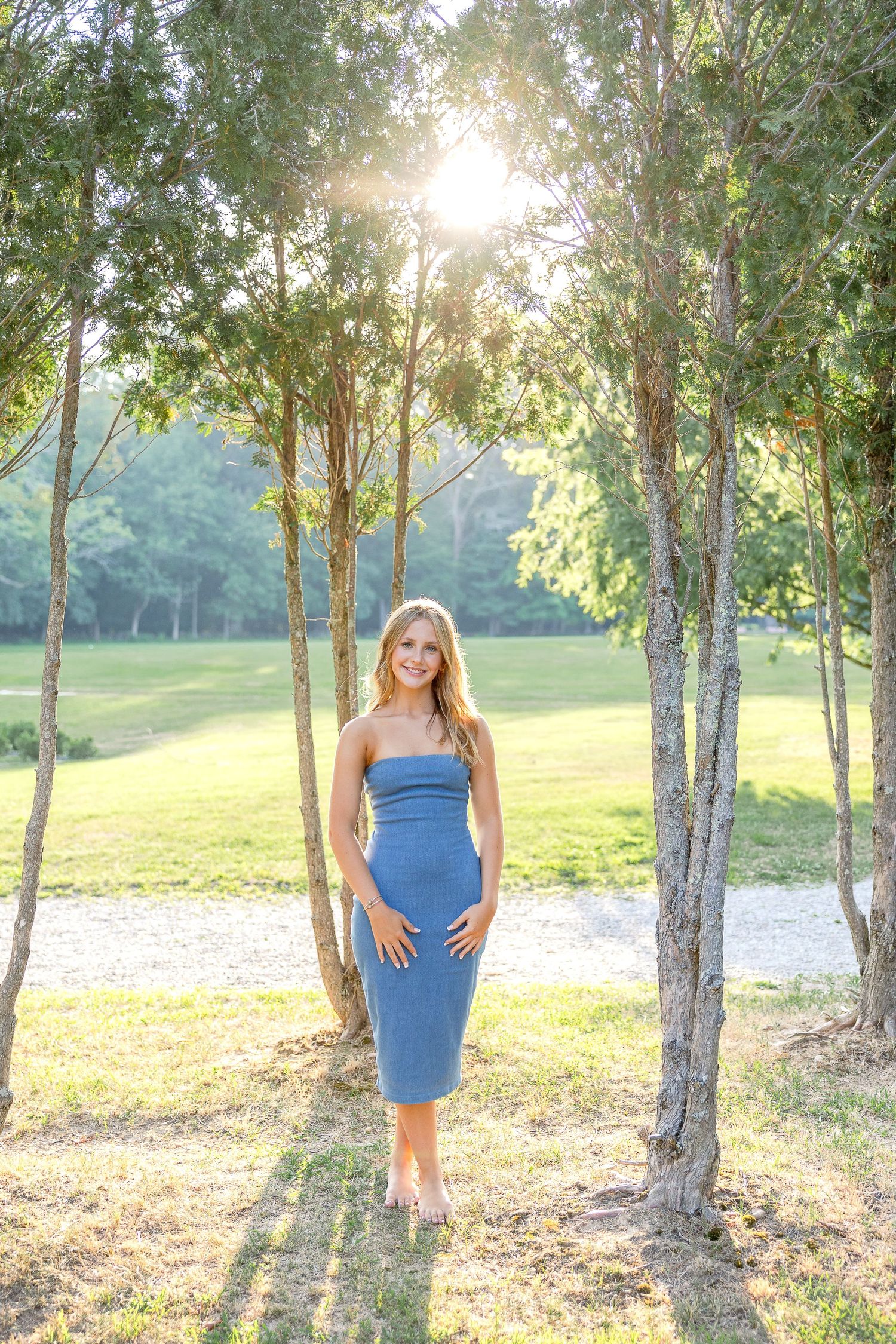 Beautiful sunset photo in a grove of trees on a grassy field with golden sunlight streaming through the branches.