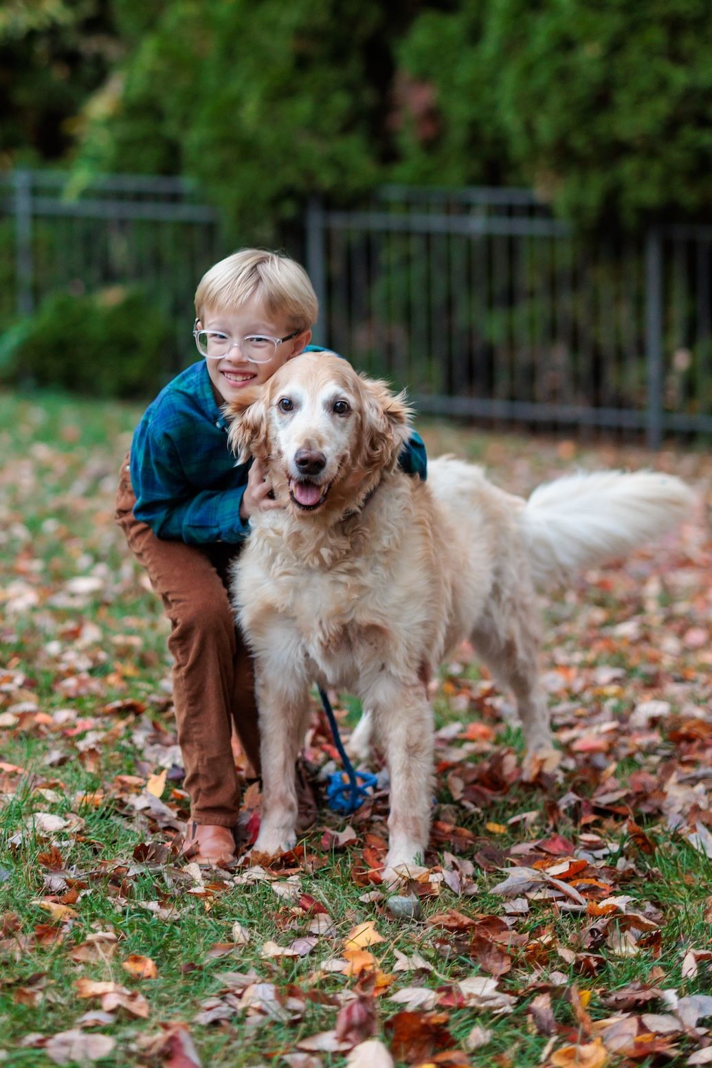 A Golden Retriever and child share a happy moment together in a fall setting with scattered leaves on the ground.