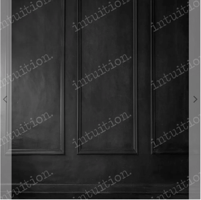 Dark panel wall with classic molding detail creating elegant architectural depth and shadow patterns.