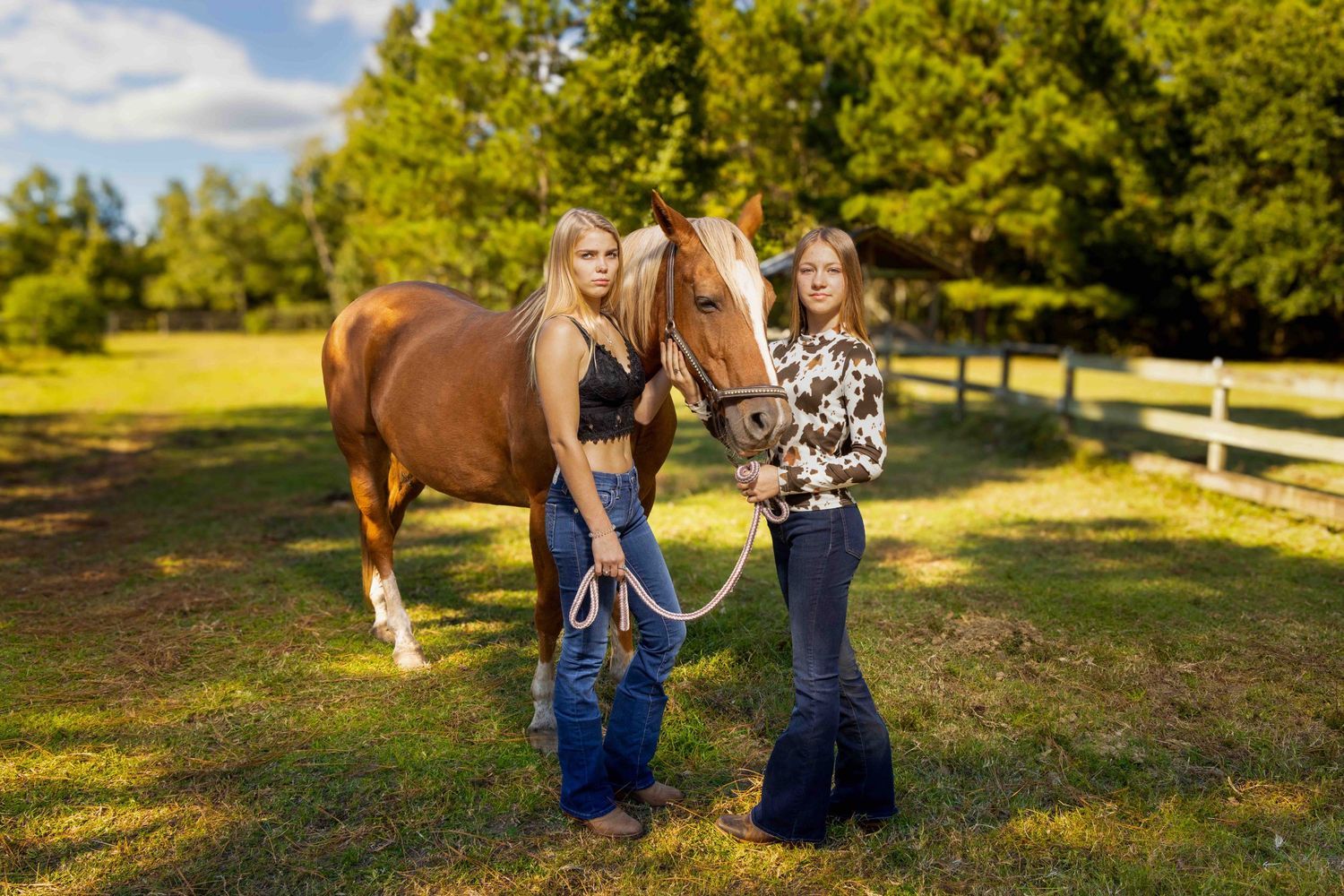 Two people stand with a brown horse in a fenced pasture on a sunny day. Portrava Creative Studios