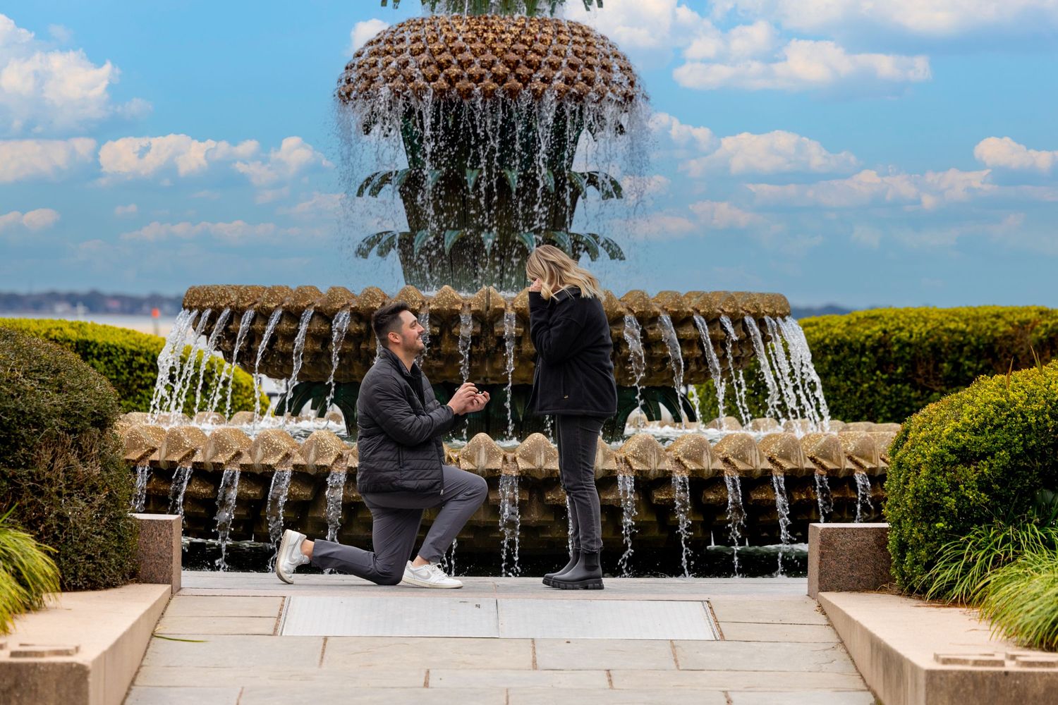 Marriage proposal moment captured at pineapple fountain with blue sky and hedges. Portrava Creative Studios