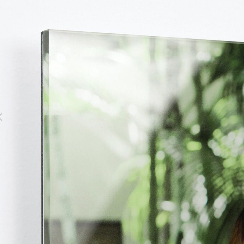 A hand holds up a piece of clear glass or acrylic material against a blurred green background.