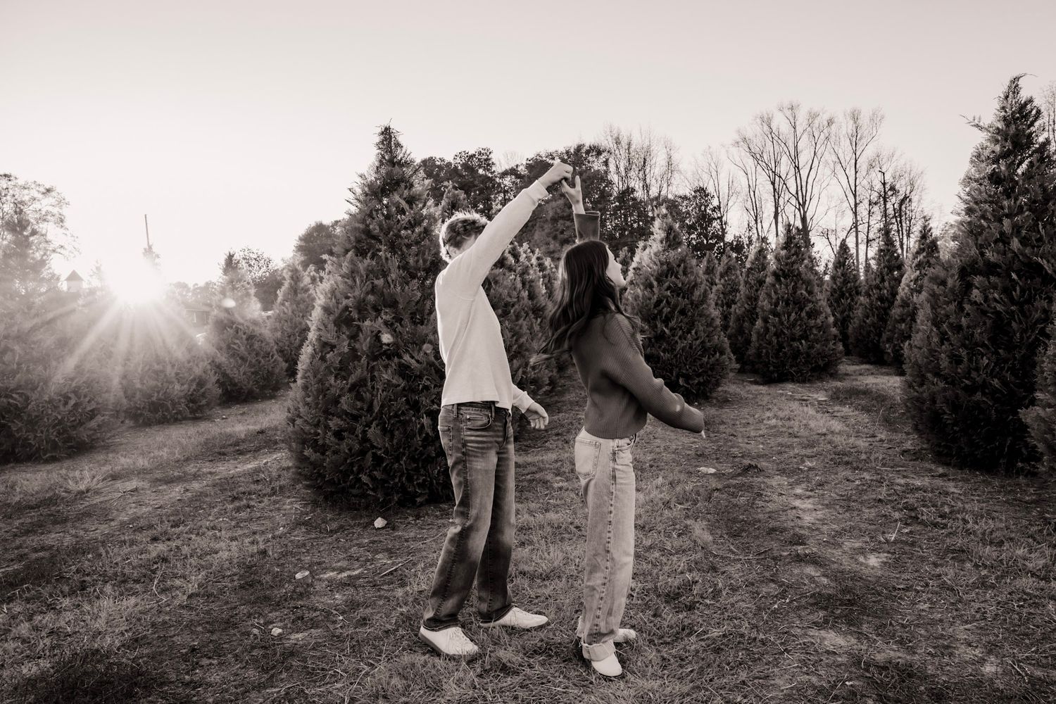 A sequence of black and white photos showing a couple walking together through a Christmas tree farm at sunset.