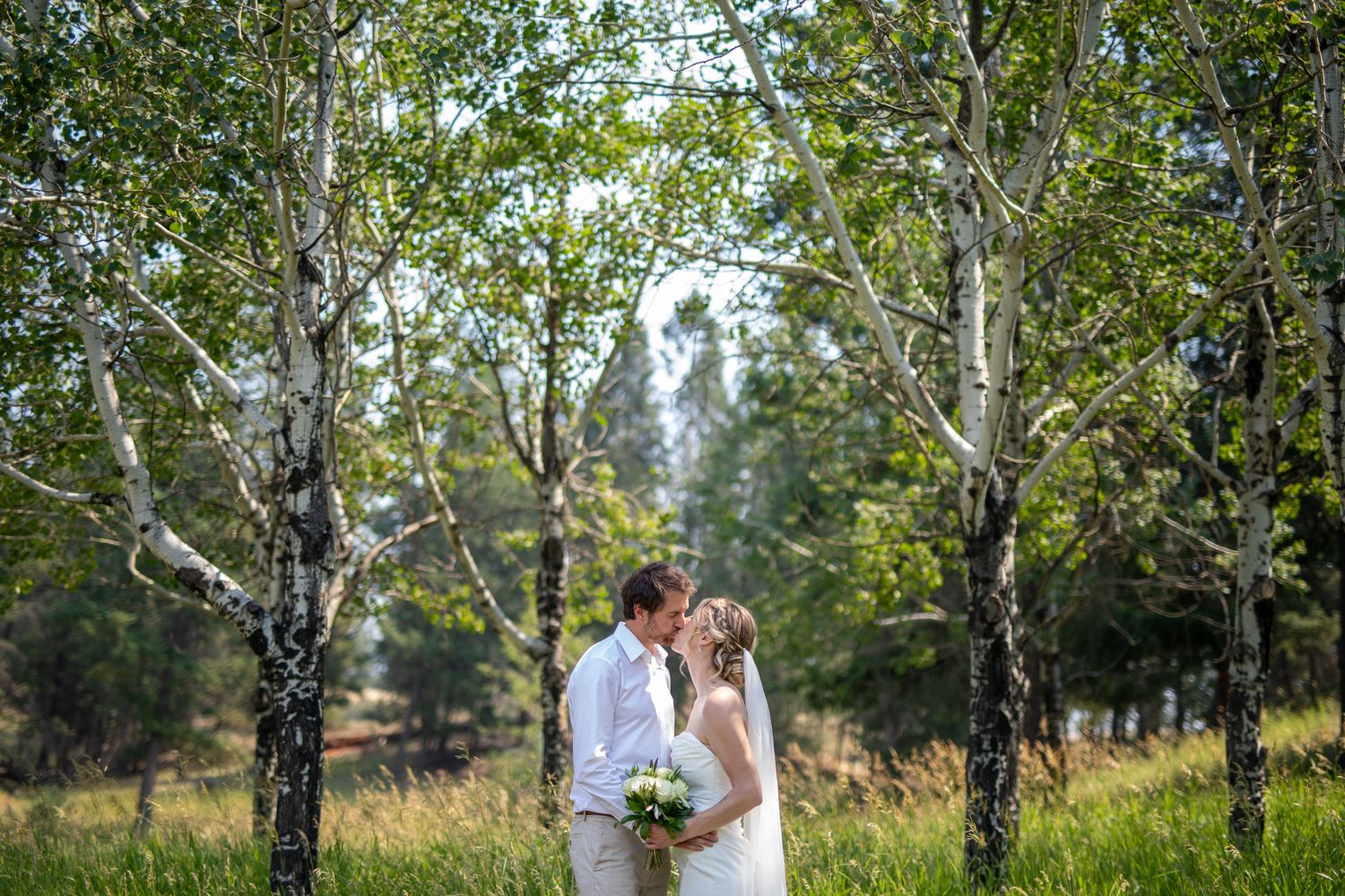 A bride and groom share a romantic kiss surrounded by birch trees in a lush green forest during their outdoor wedding at Swansea Ranch in BC