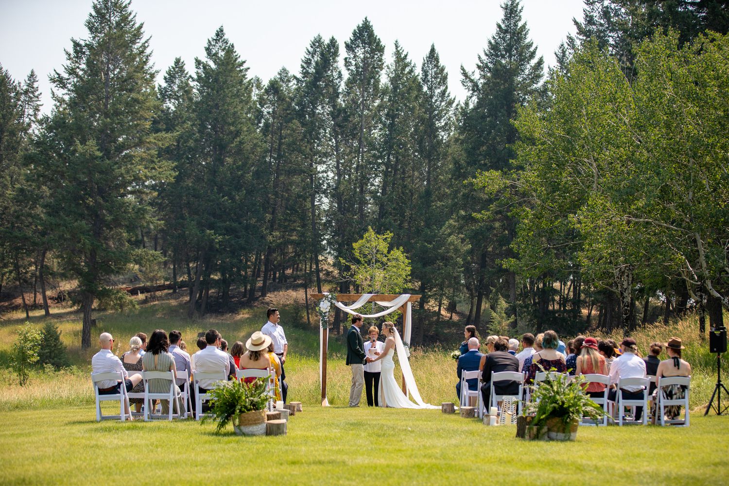 Outdoor wedding ceremony on green lawn with guests seated in white chairs facing couple at wooden arch, surrounded by tall pine trees