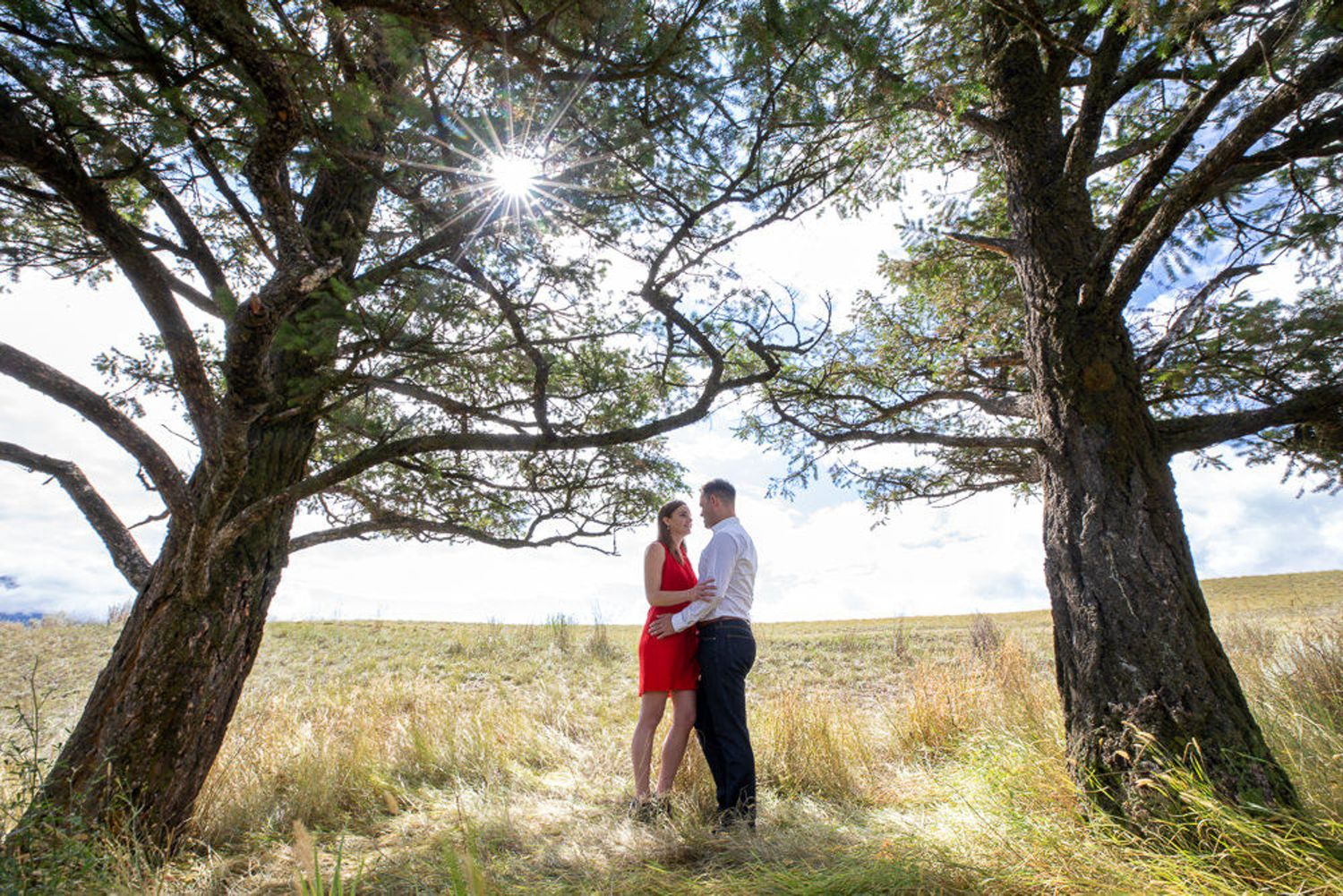 Couple shares romantic moments under sun-dappled trees in a golden field during sunset in Wetland Reserve in Invermere, BC.