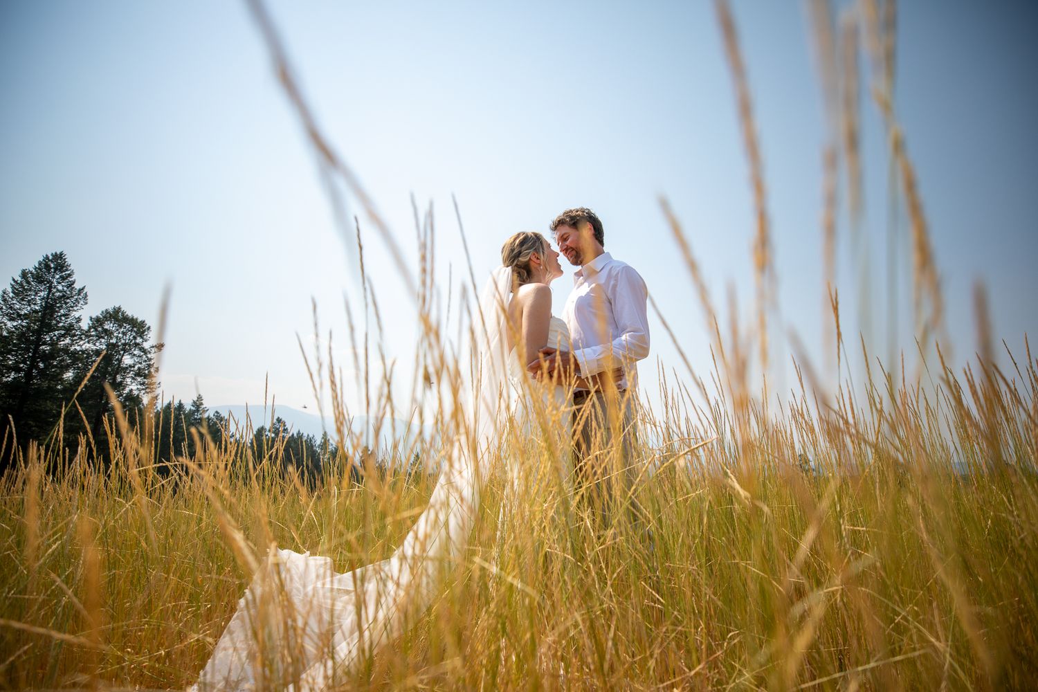 Bride and groom embracing in golden tall grass field under blue sky on their wedding day at Swansea Ranch in Invermere, BC