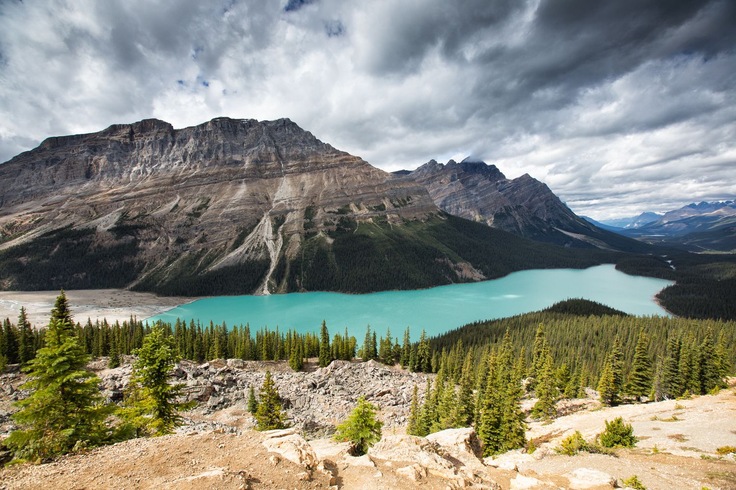 Stunning turquoise Peyto Lake surrounded by evergreen forests and rocky mountains under dramatic cloudy skies in Banff, Canada.