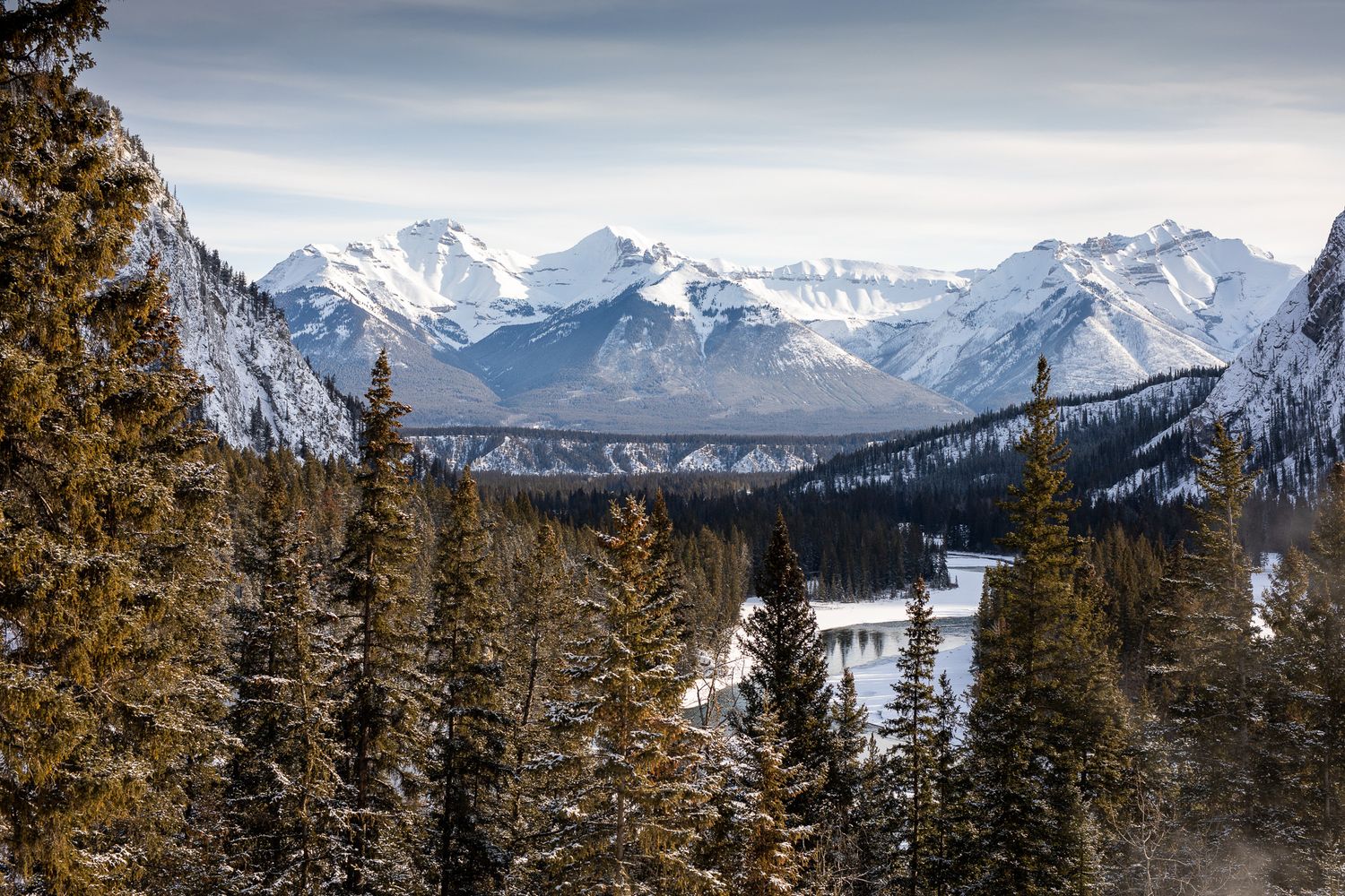 Snow-capped mountain peaks rise above a forested valley in winter, with evergreen trees framing the dramatic alpine landscape. Banff.