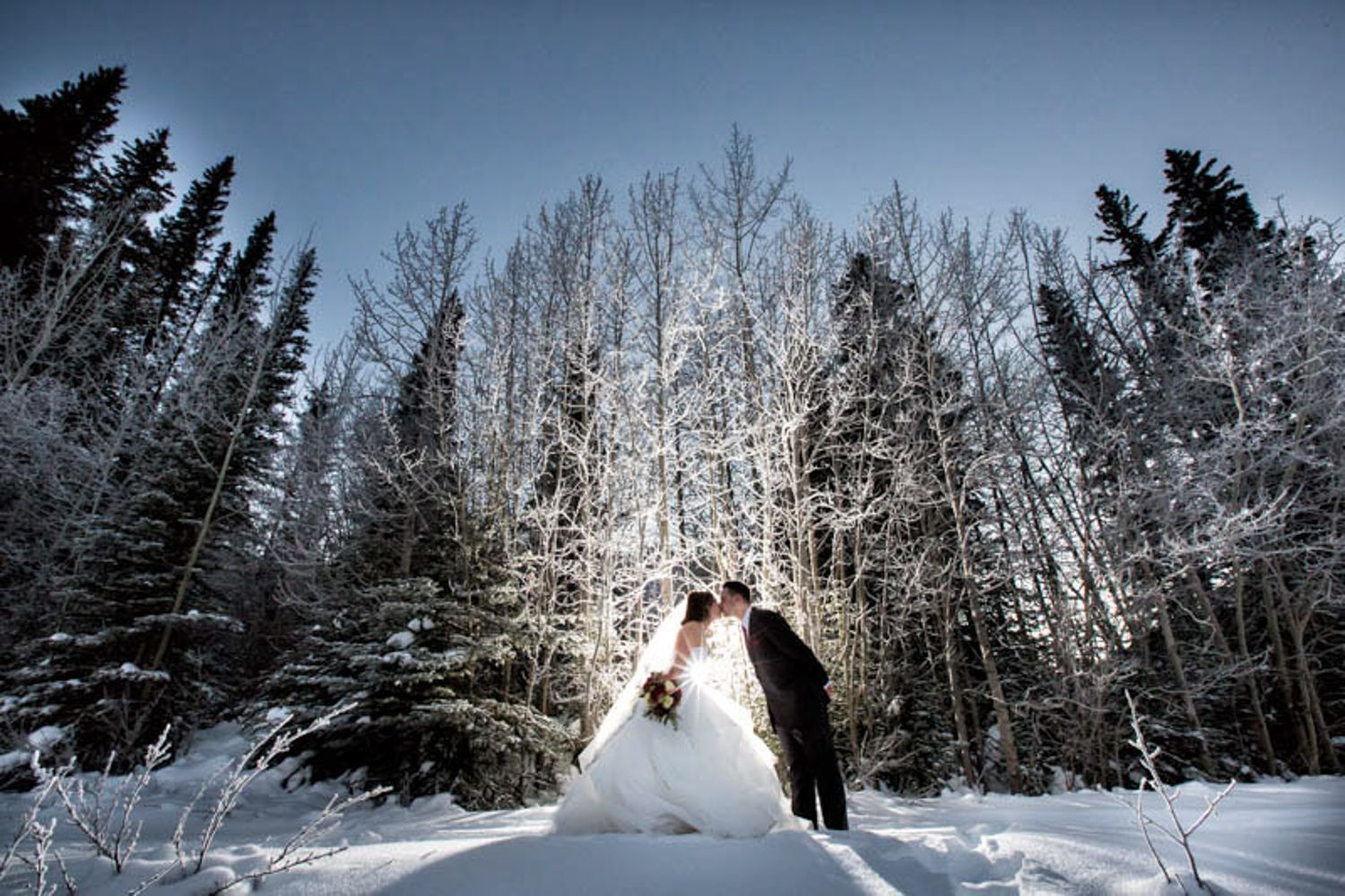 A snowy winter forest landscape with tall evergreen trees and snow-covered branches against a moody grey sky. Quarry Lake Park in Canmore
