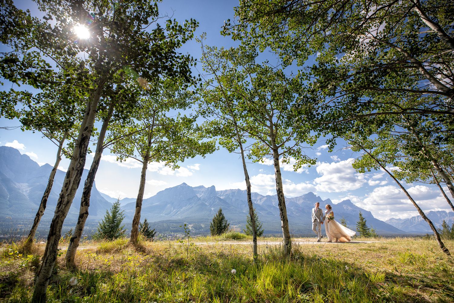Scenic mountain landscape with tall trees silhouetted against bright sunlight and Three Sisters mountain peaks in the background. Canmore.