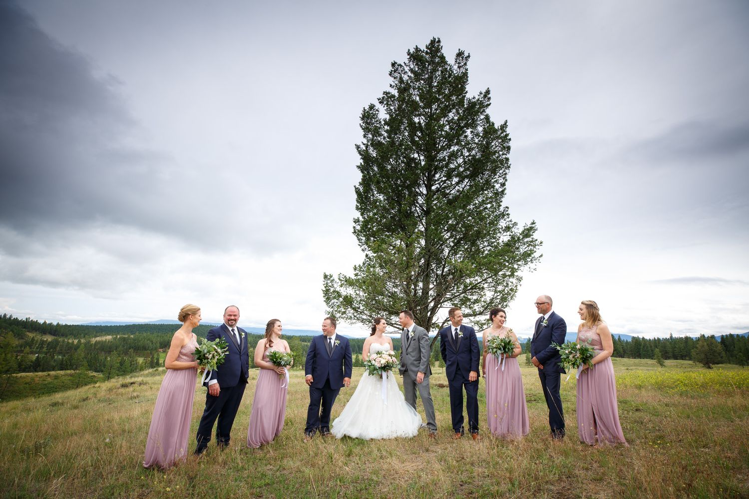Wedding party poses in a meadow at Cherry creek estate with a tall pine tree backdrop under cloudy skies.
