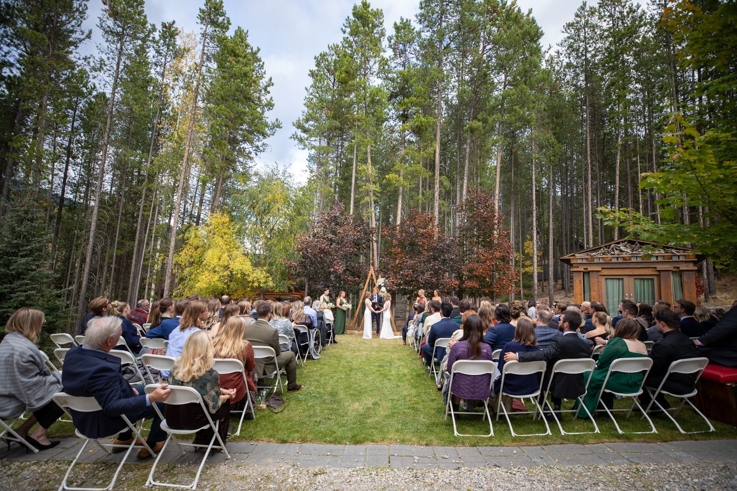 Outdoor wedding ceremony setup with rows of chairs surrounded by tall pine trees in a natural forest setting. Earl Grey Lodge Panorama BC