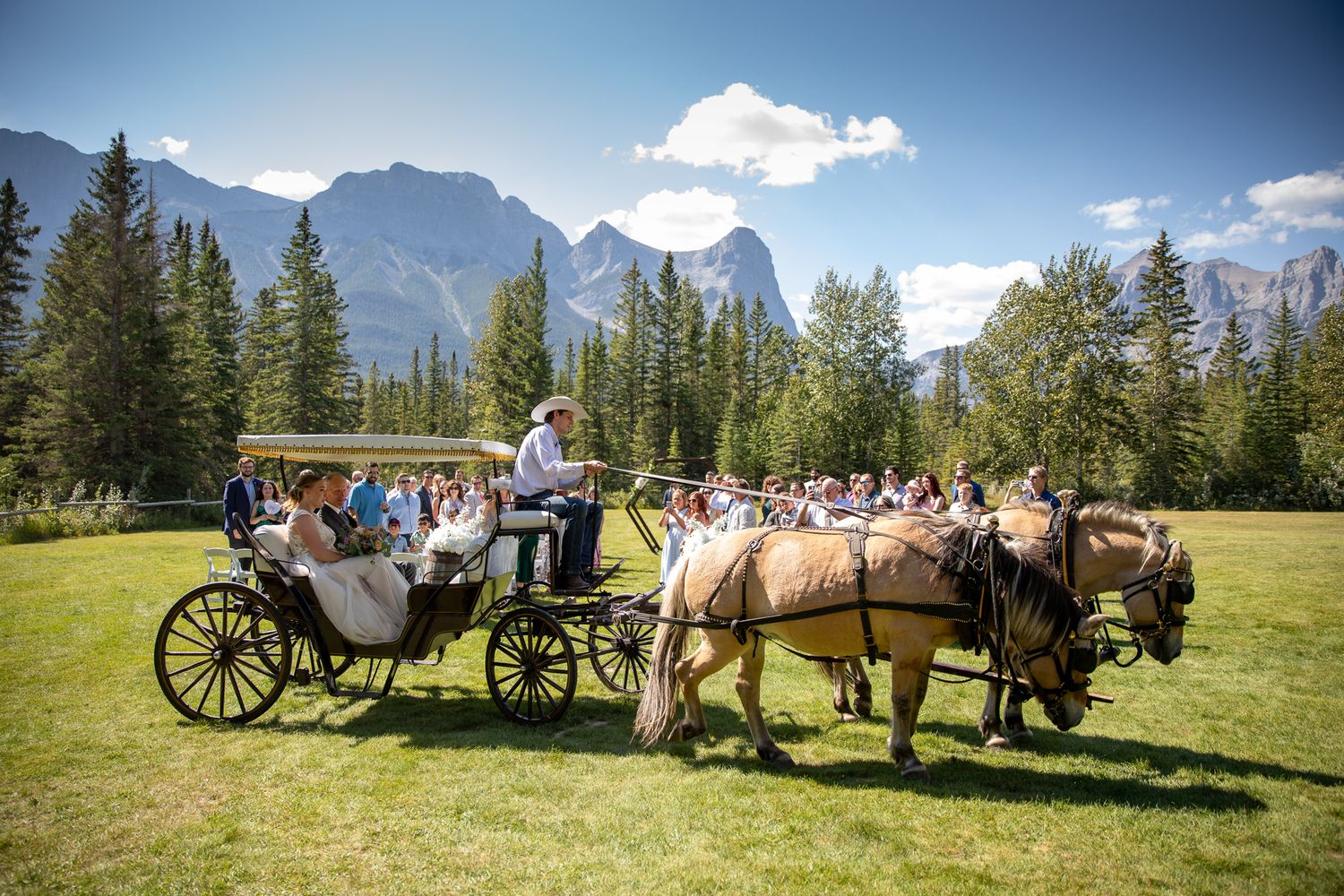 A horse-drawn carriage travels through scenic mountain landscapes with Ha ling peak in the background at Canmore ranch in Canmore, Alberta.