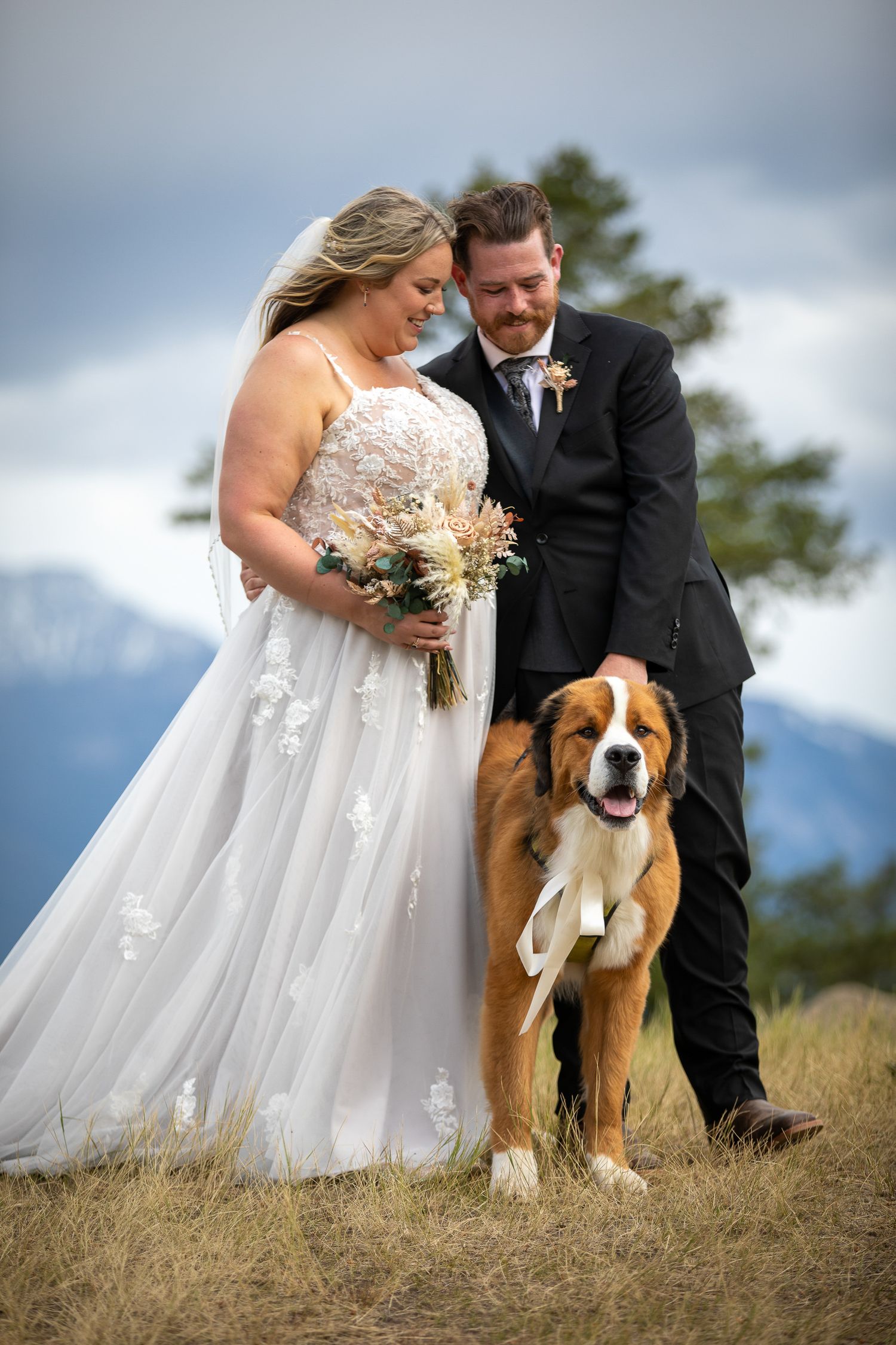 A couple in wedding attire poses with their Saint Bernard dog on a grassy hilltop under cloudy skies. Brady Creek ranch. Invermere, BC.