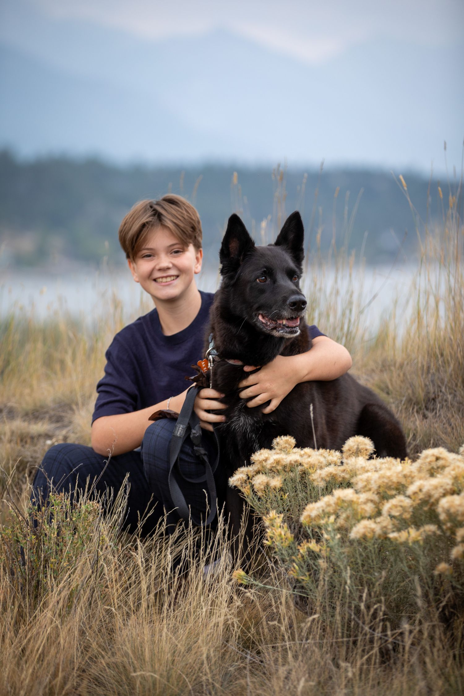 A black German Shepherd and person sit together in tall grass near yellow wildflowers on a sunny day in Invermere, BC.