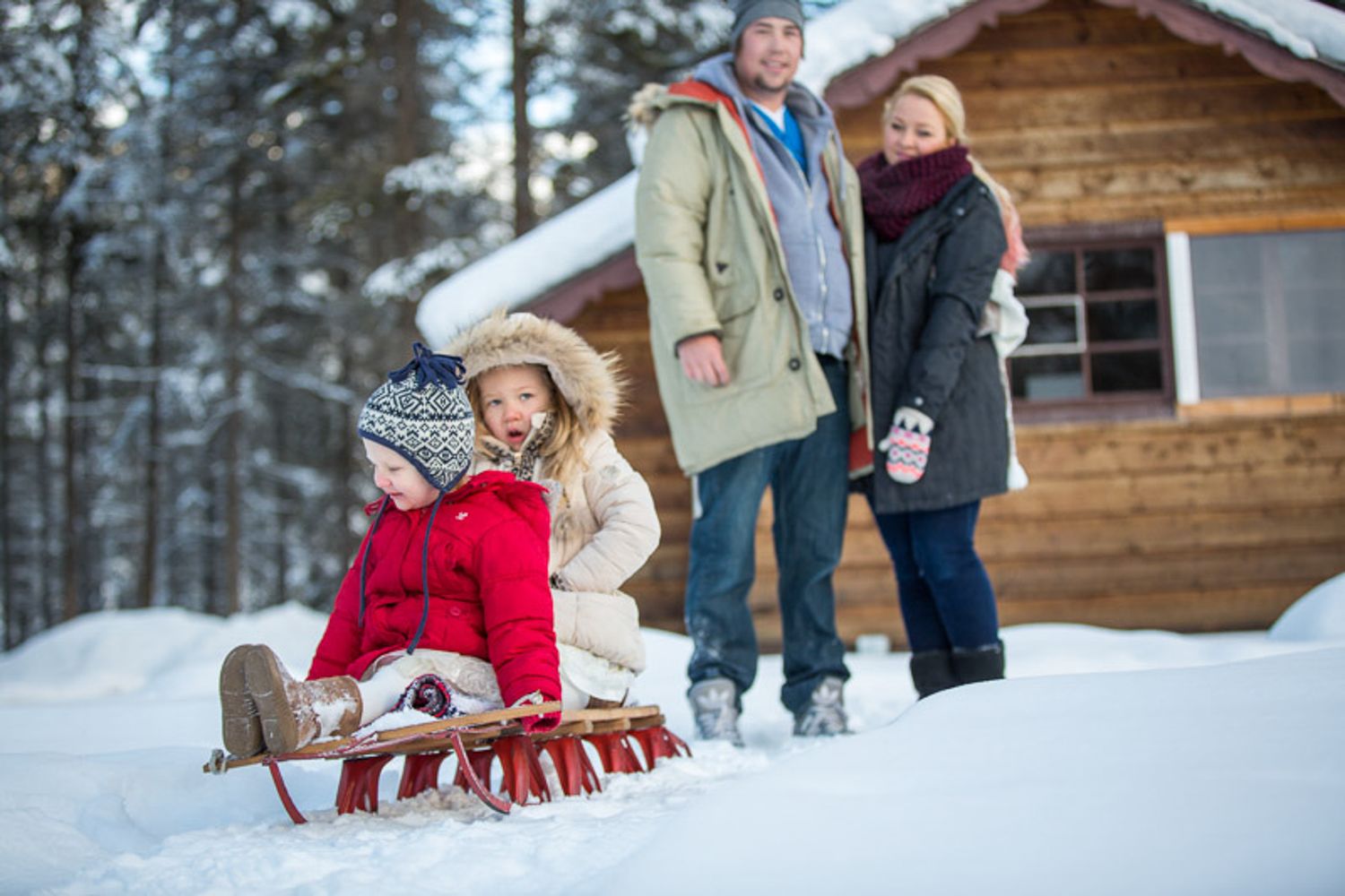Family share playful moment with antique red sled in snowy winter forest setting in Banff, AB.