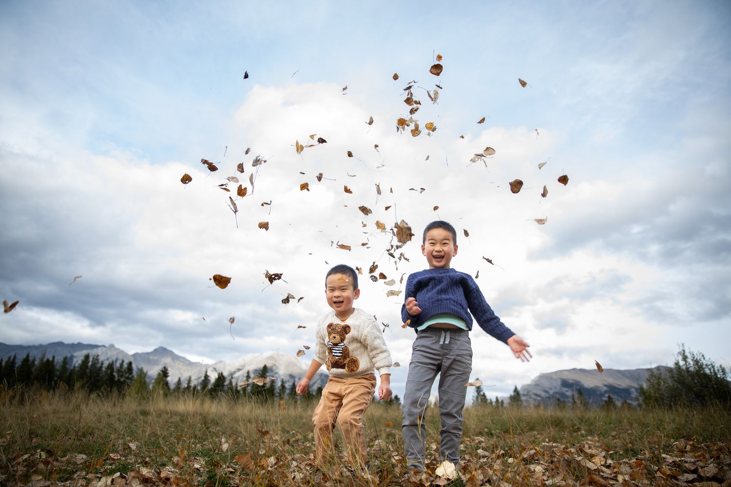 A series of photos showing autumn leaves being thrown in the air against a cloudy sky at Quarry lake park in Canmore.