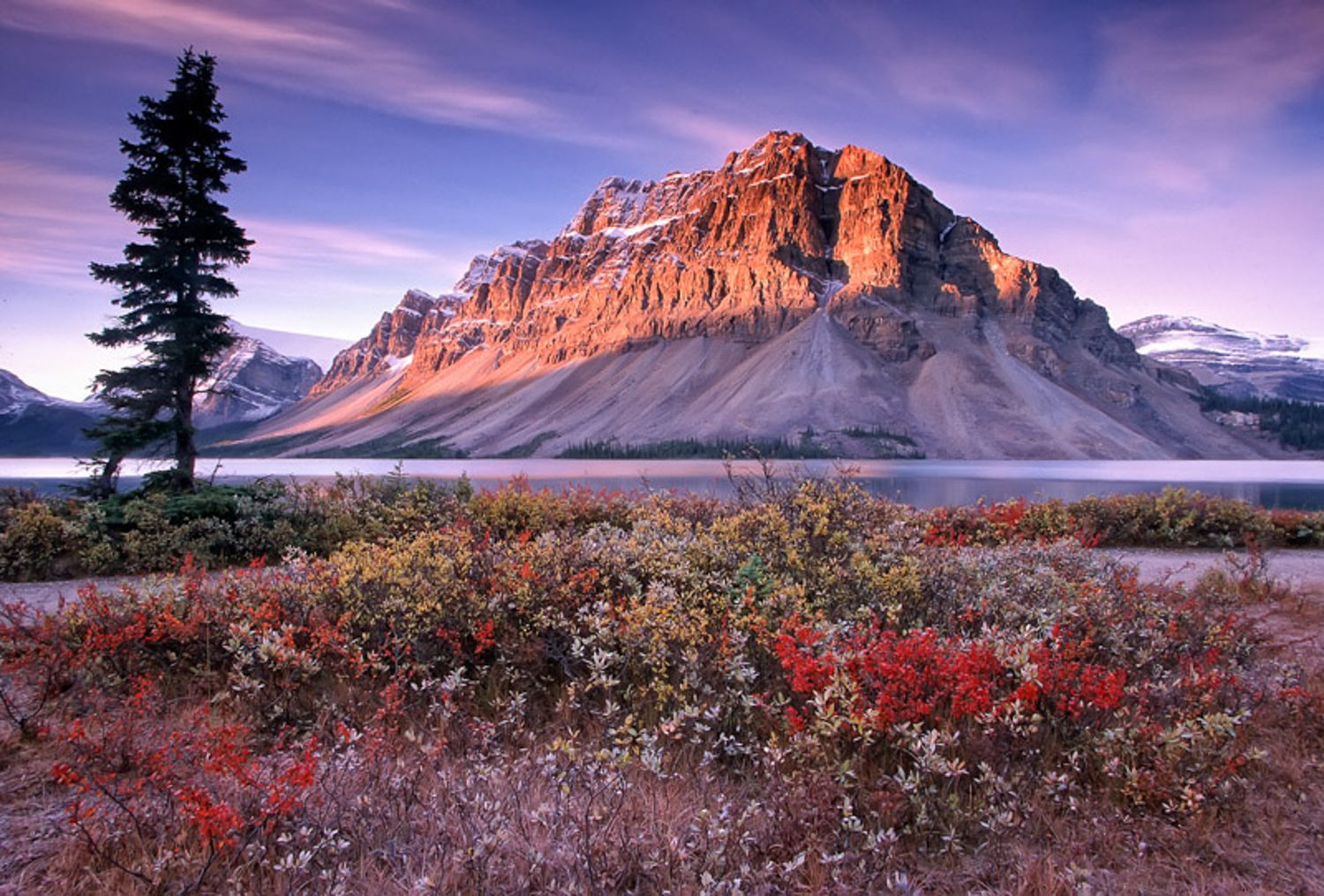 Panoramic view of Bow Lake in Banff National Park with red autumn foliage and mountain peaks at sunset.