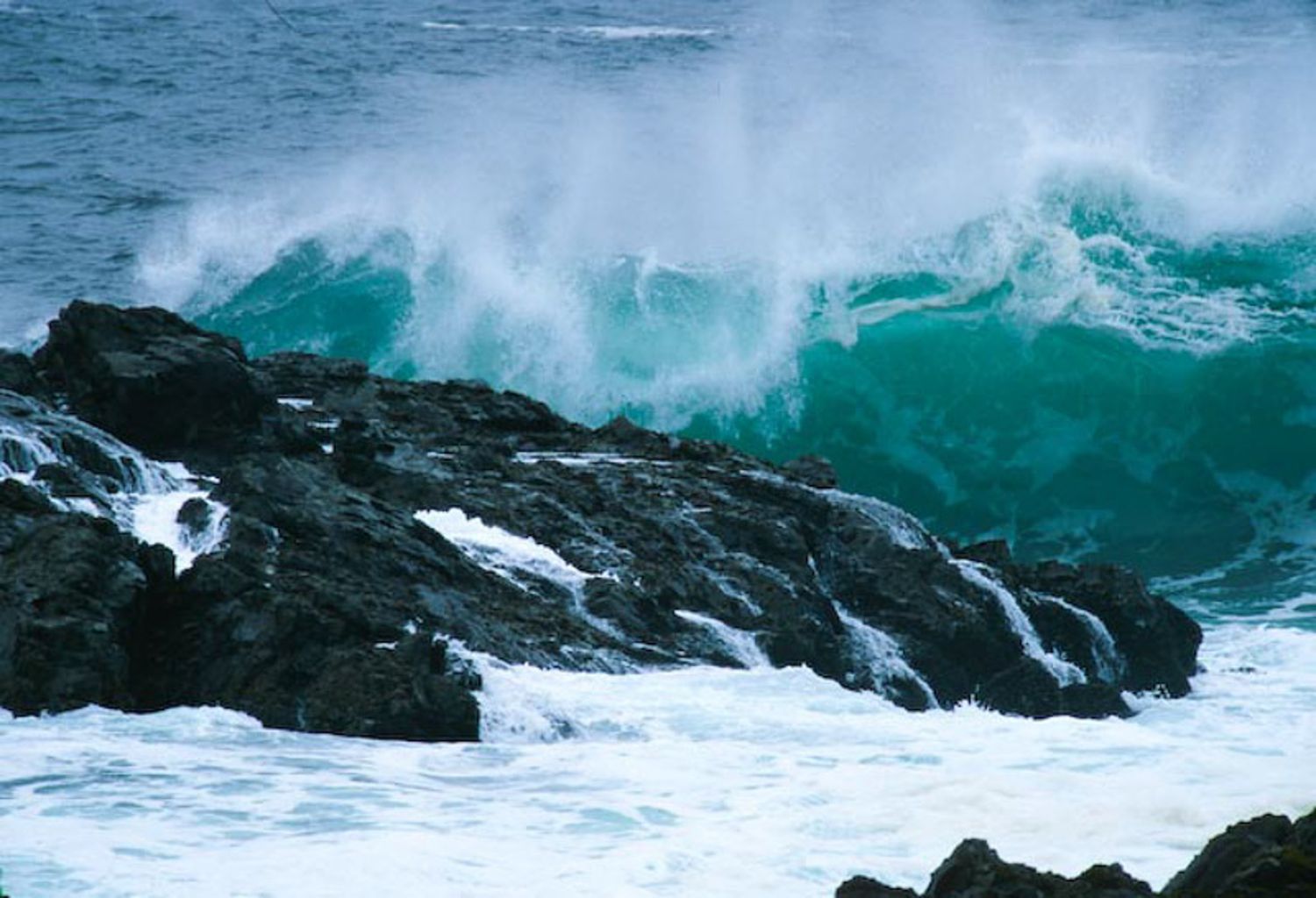 Powerful turquoise waves crash against dark rocky coastline creating dramatic ocean spray in rough seas of Vancouver Island, BC
