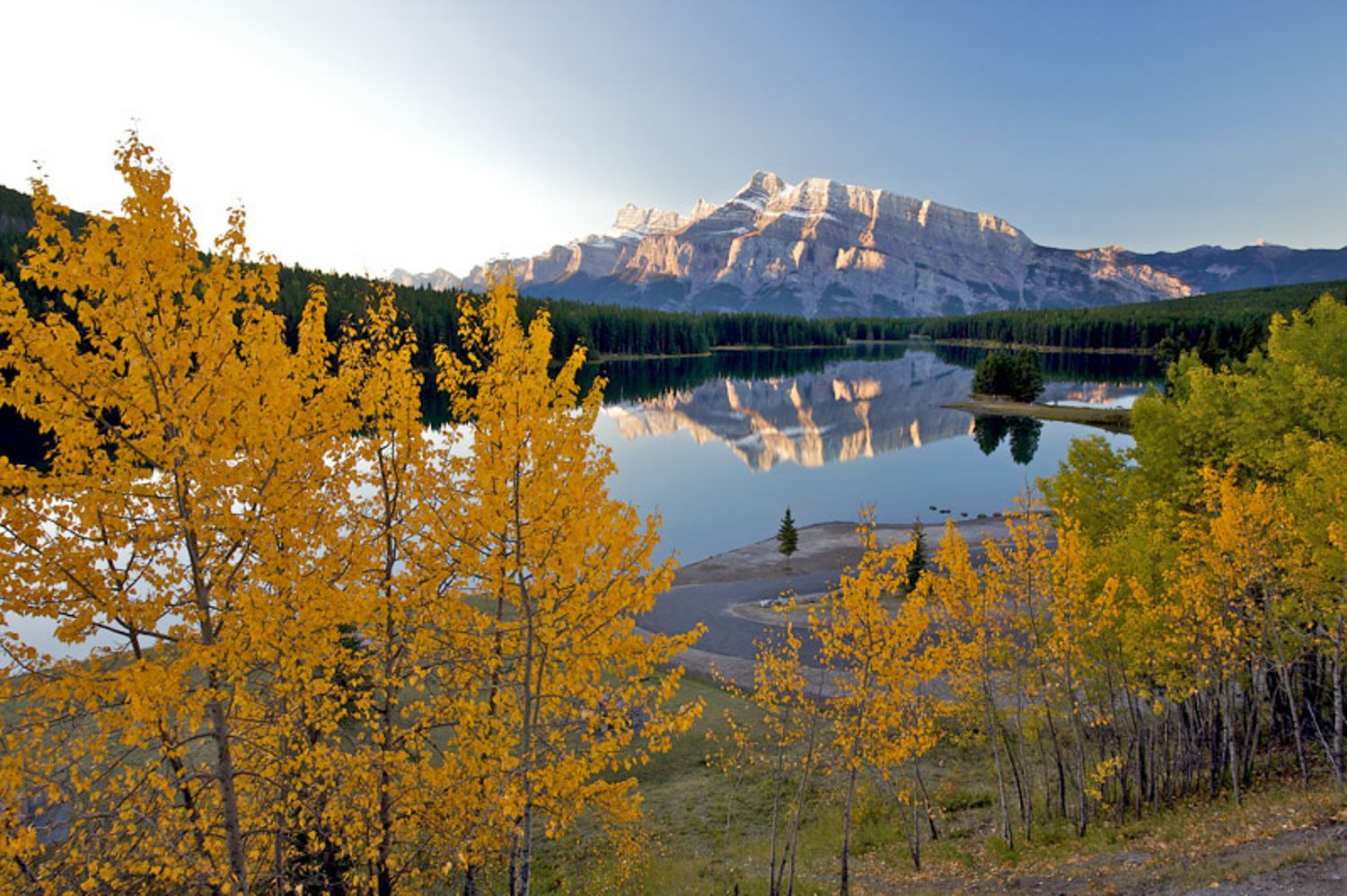 Scenic mountain lake surrounded by golden aspen trees and snow-capped peaks reflecting in calm waters during autumn. Two Jack lake, Banff.