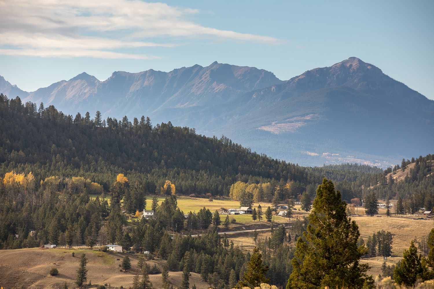 A panoramic mountain landscape with golden autumn trees and distant snow-capped peaks under a blue sky. Invermere, BC.