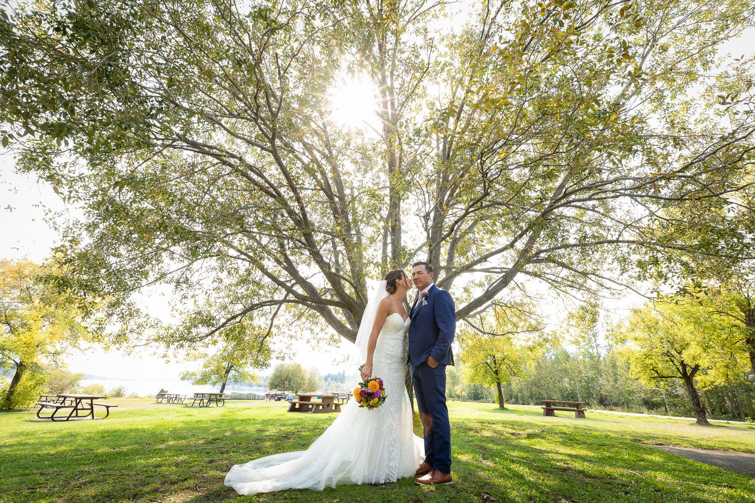 A romantic wedding couple embraces under sunlit autumn trees in a scenic outdoor park setting. Invermere, British Columbia.
