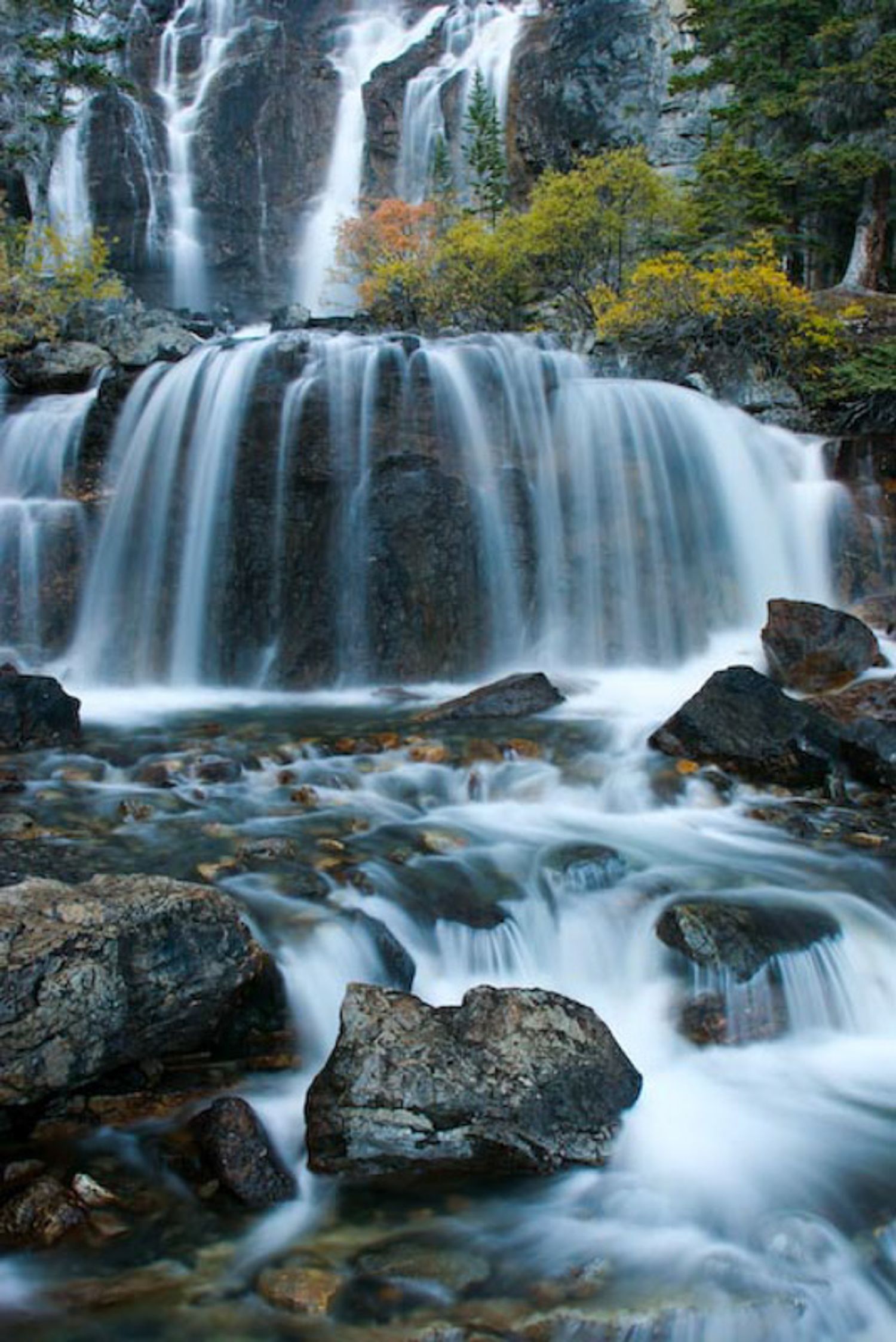 Cascading waterfall flows over dark rocks with silky smooth water effect in autumn forest landscape. Tangle Falls Banff National Park.